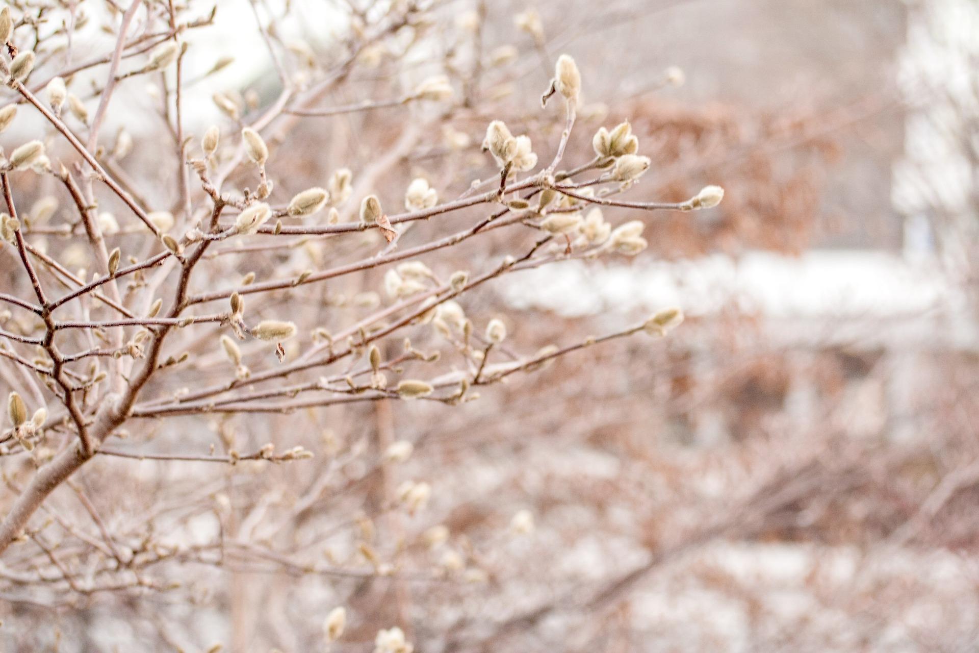 1920x1280 Goodbye winter, hello spring!. Russian National Tourist Office