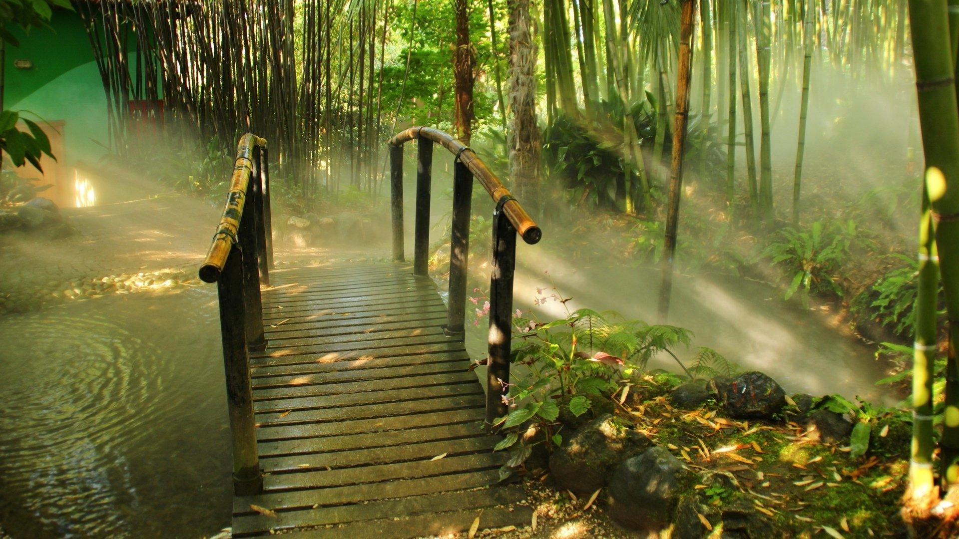 1920x1080 Free download Download Bamboo Forest Background [1920x1080] for your Desktop, Mobile & Tablet. Explore Forest Wallpaper HD. Green Forest Wallpaper HD, Forest Wallpaper 1920x Dark Forest HD Wallpaper
