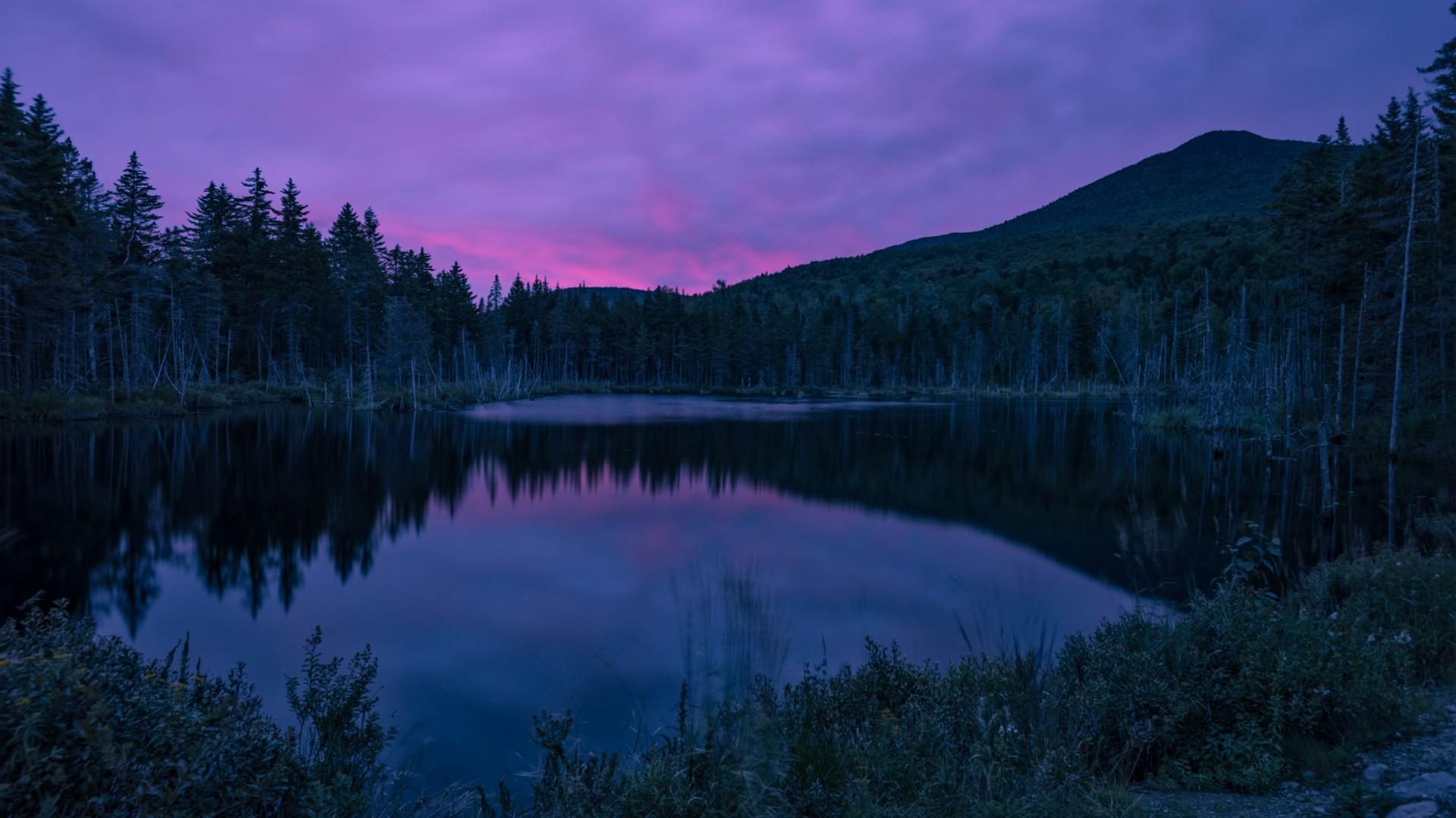 1920x1080 Wallpaper river, forest, sky, evening, HD, Nature