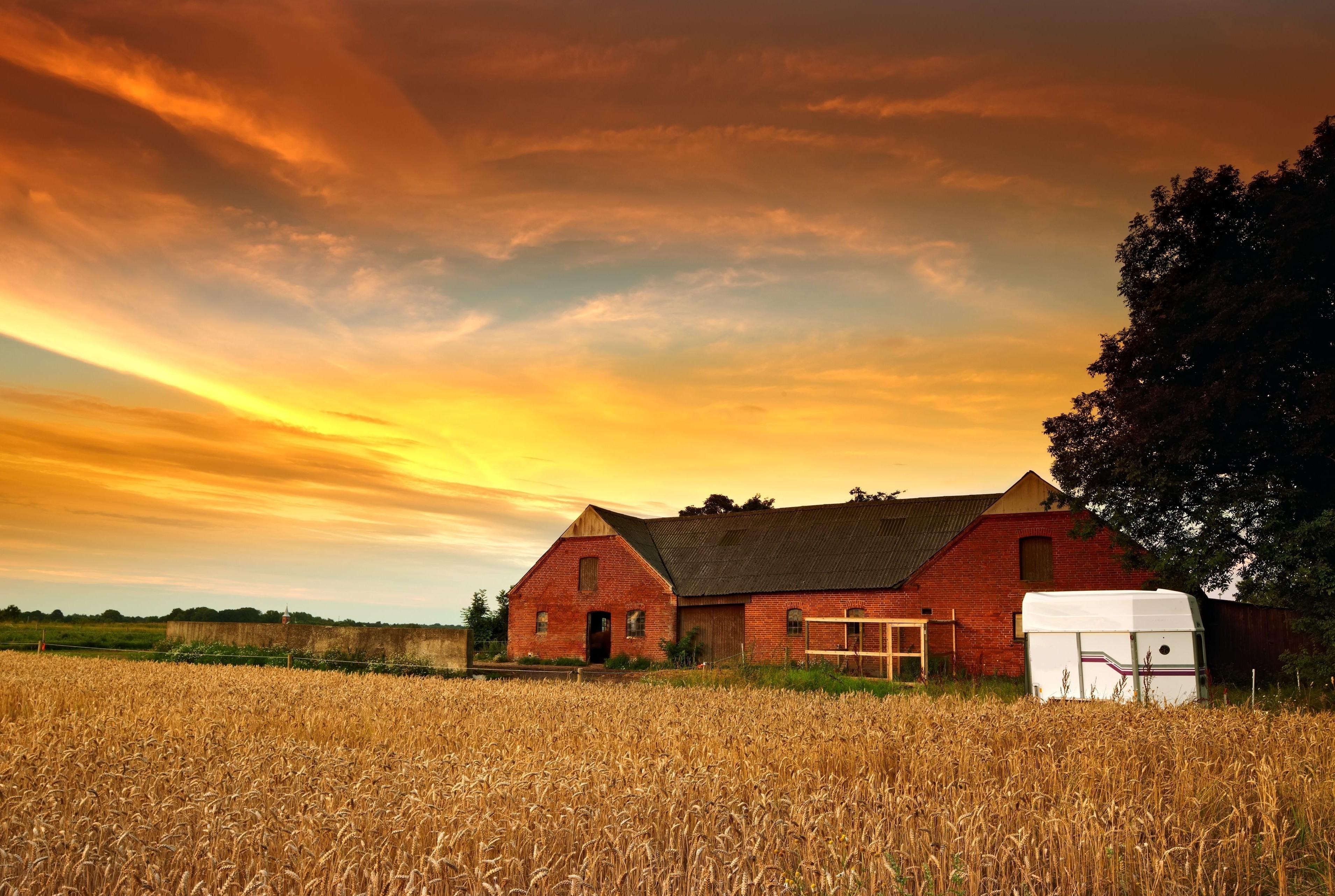 3819x2563 nature, Farm, Sun Wallpaper HD / Desktop and Mobile Background