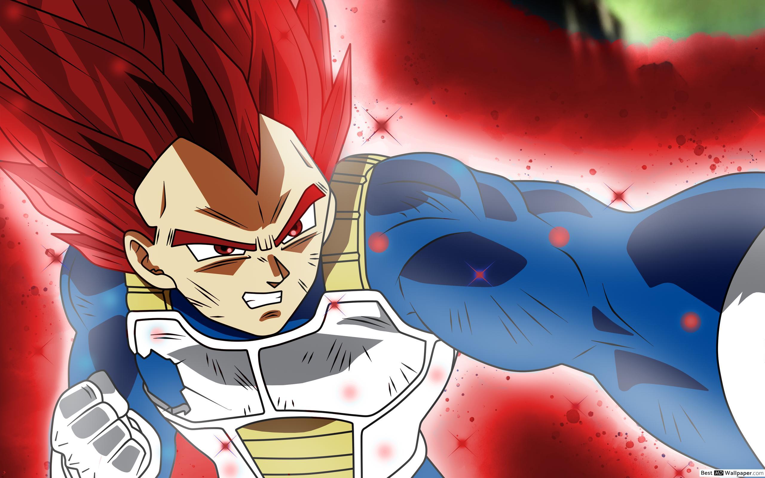 2560x1600 Super Saiyan God Vegeta Profile