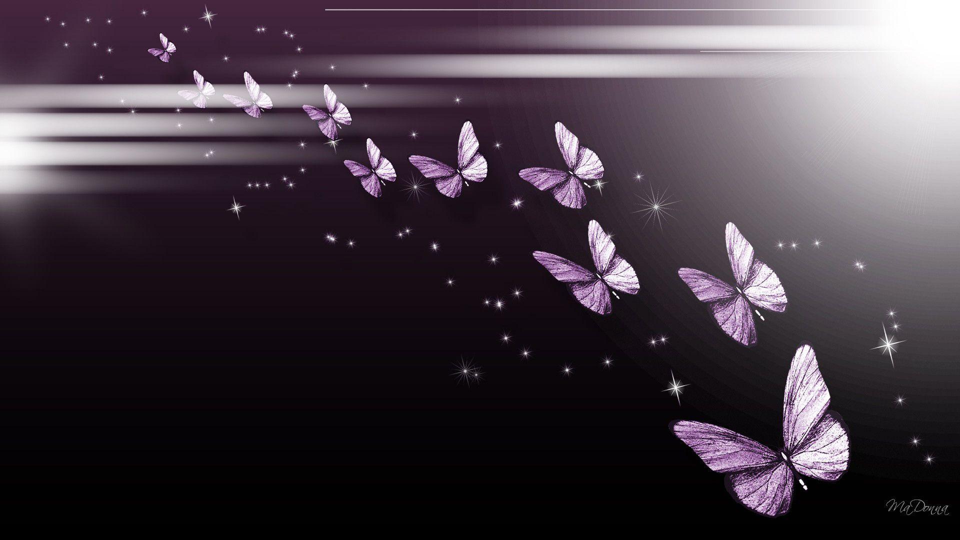 Purple Butterfly Desktop Wallpapers - Top Free Purple ...