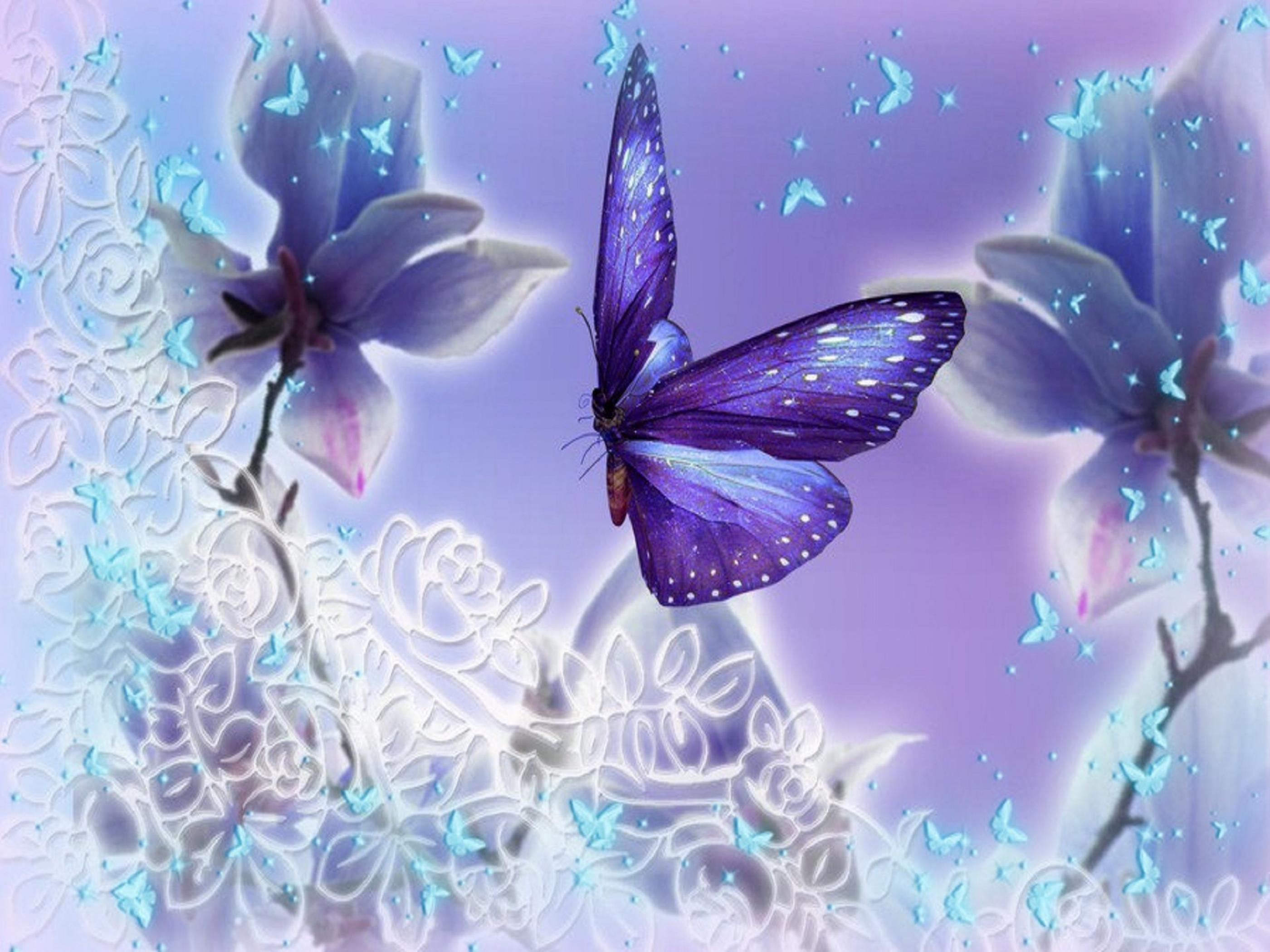 Purple Butterfly Desktop Wallpapers - Top Free Purple Butterfly Desktop 