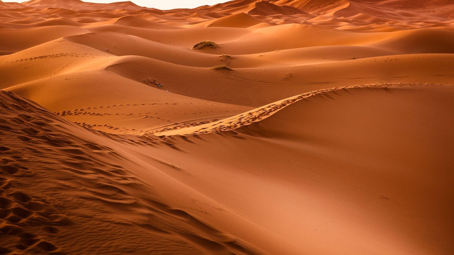 1920x1080 Sand Backdrop SALE Sandie Wallpaper Modern Wallpaper Desert Wallpaper Beach Wallpaper Beige Wallpaper Desert Wall Mural Sand Home Décor Home & Living
