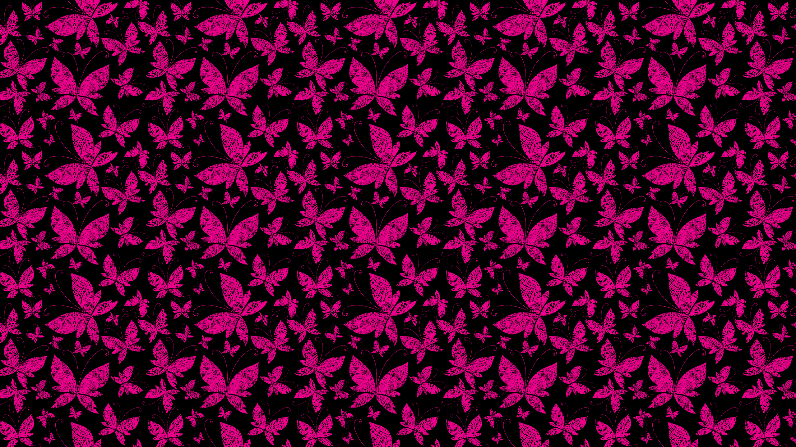 2560x1440 Abstract Butterfly Wallpaper