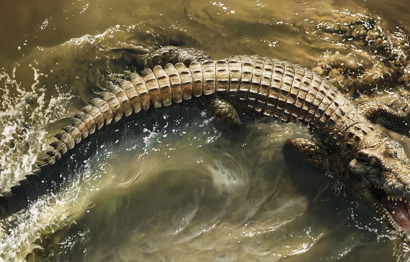 1332x850 Wallpaper Water, Teeth, Mouth, Crocodile, Crocodile, Africa s deadliest, Predators Of Africa image for desktop, section животные