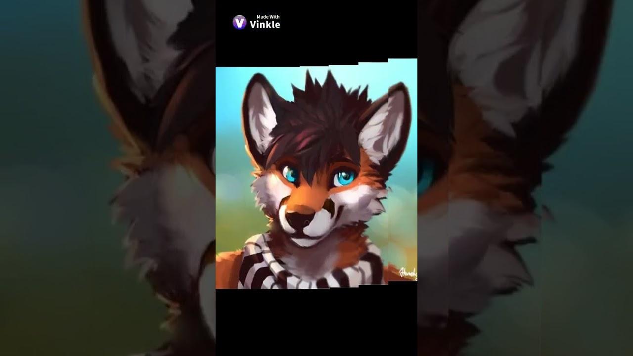 1280x720 CUTEST Furry art Edit. #shorts #furry #cute #edit