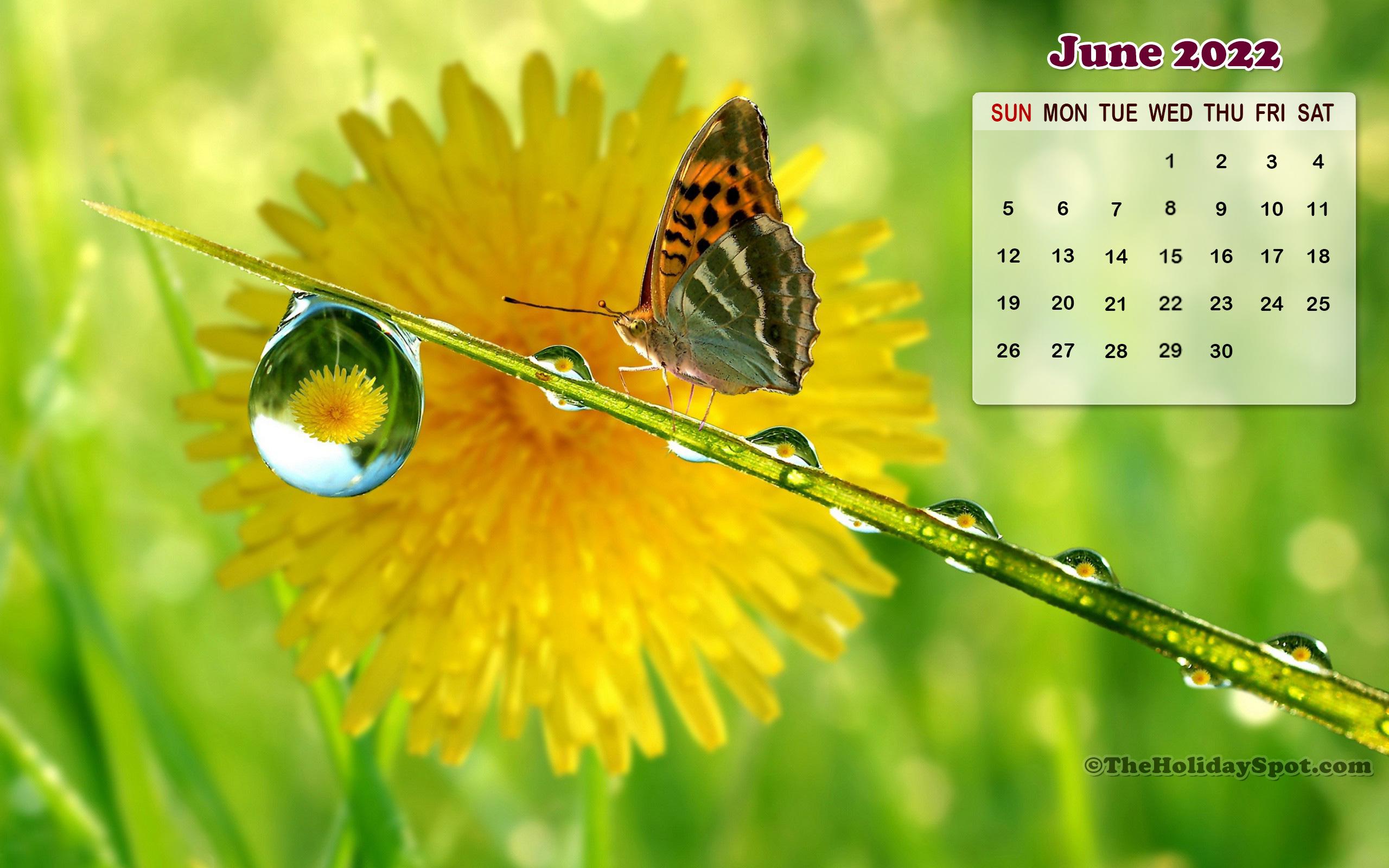 2560x1600 Month wise Calendar Wallpaper for 2022p HD Calendar Wallpaper