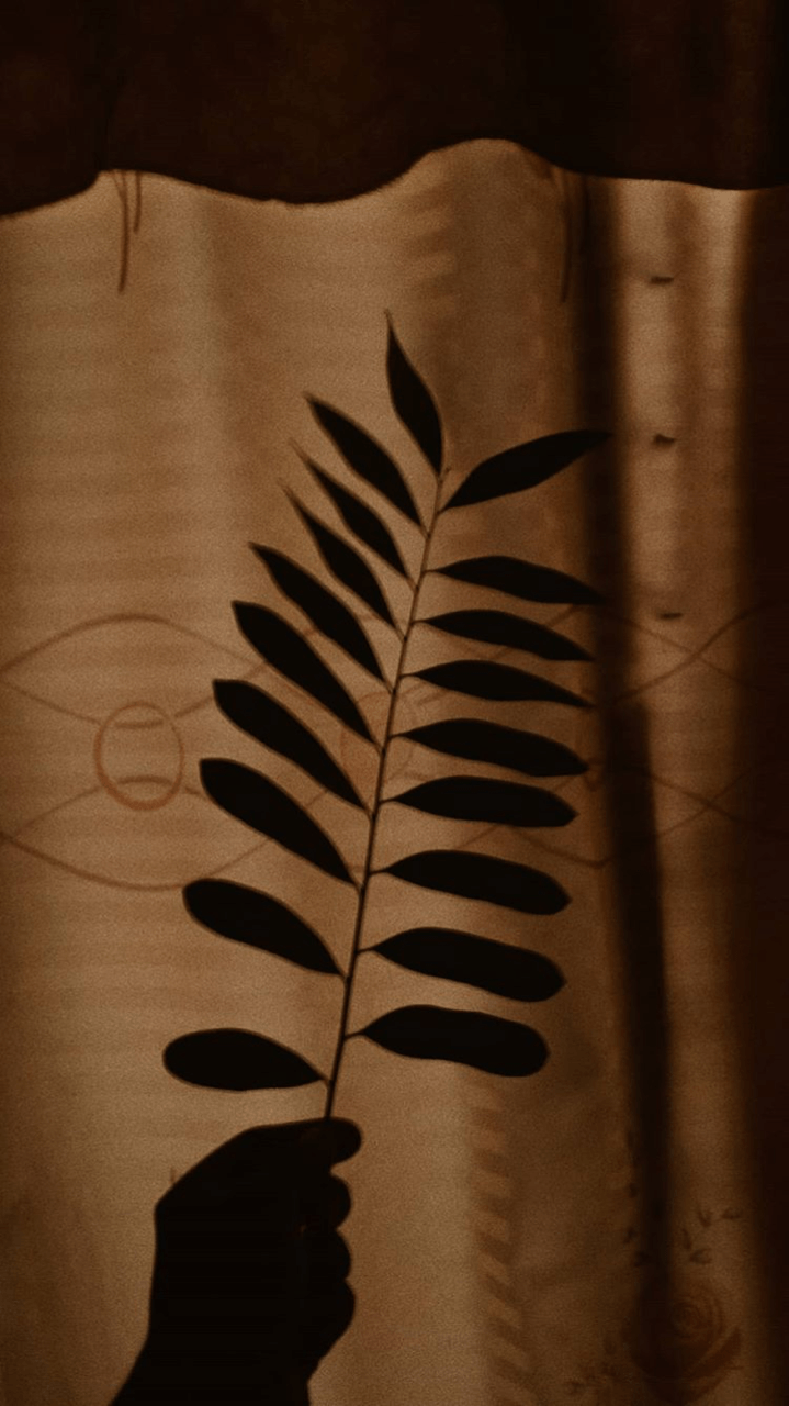 719x1280 Shadow Aesthetic Wallpaper
