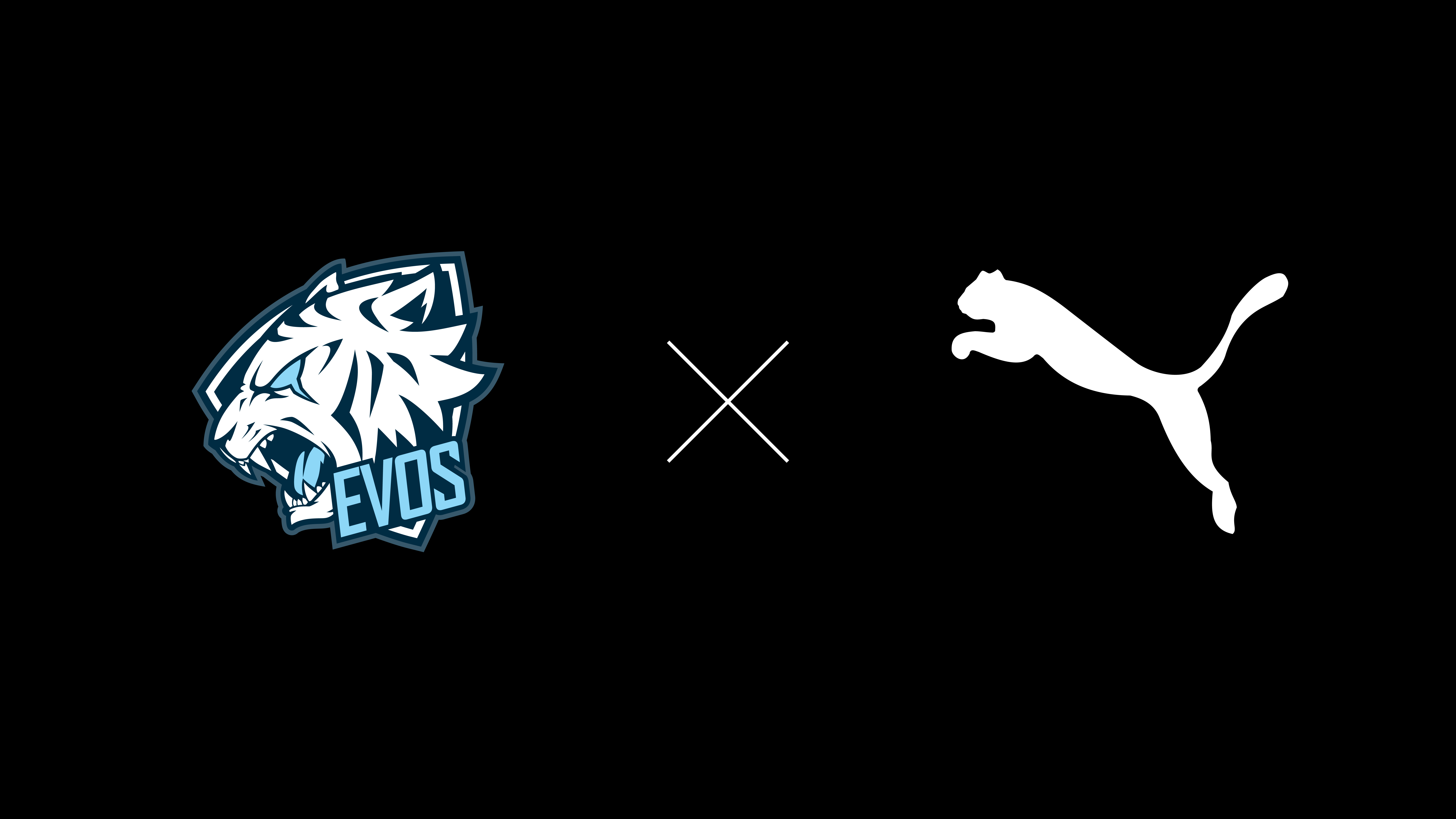8000x4500 PUMA