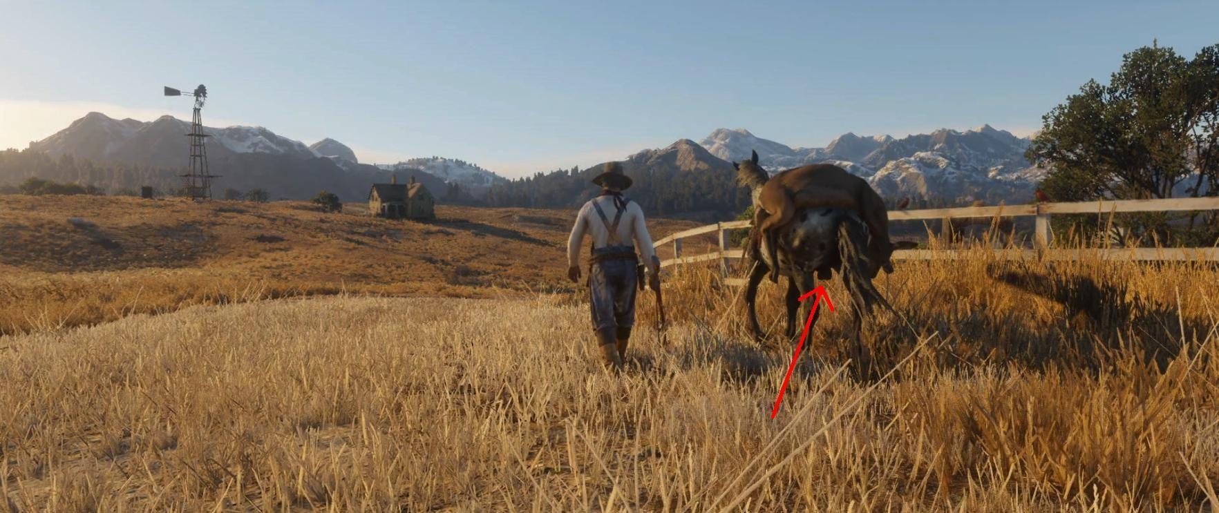 1764x743 The moment I realised I am going to have to get RDR2 was the moment