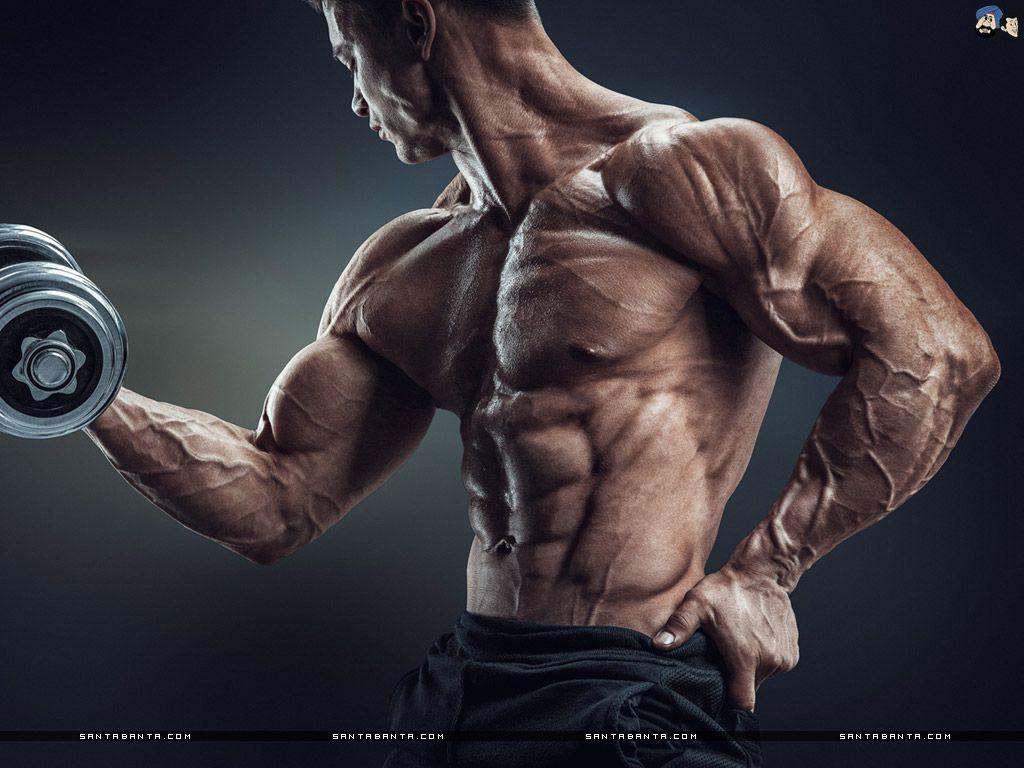 1024x768 Body Building Wallpaper Image