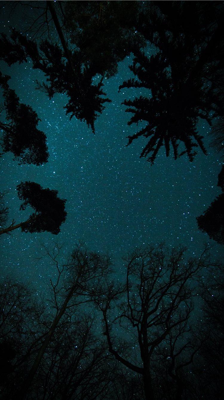 750x1334 trees under starry sky iPhone 8 Wallpaper Free Download