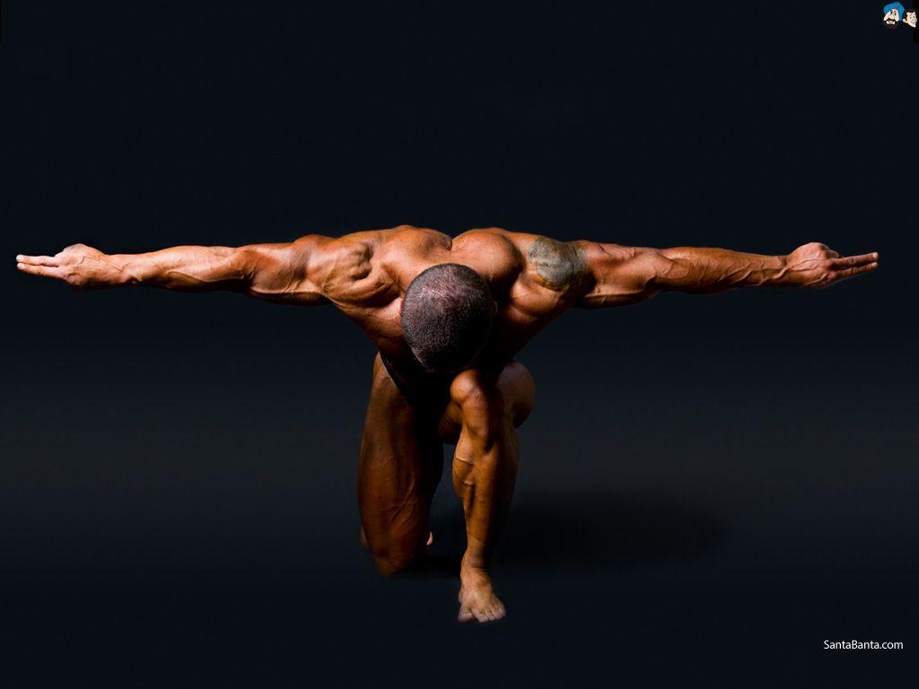 1024x768 Bodybuilding Wallpaper