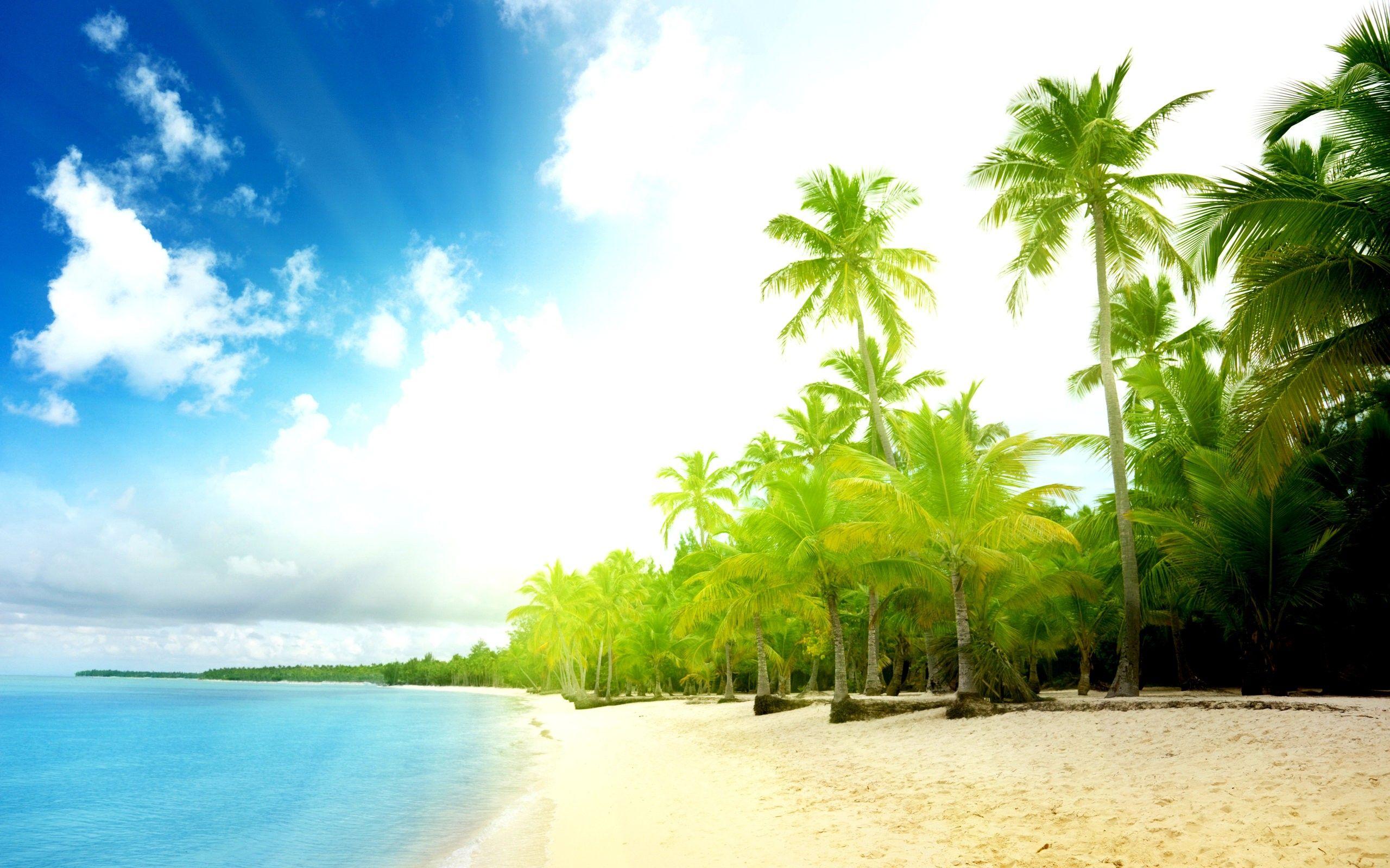 2560x1600 Goa Beach /goa Beach/. Beach Wallpaper, Palm Trees Beach, Beach Photo