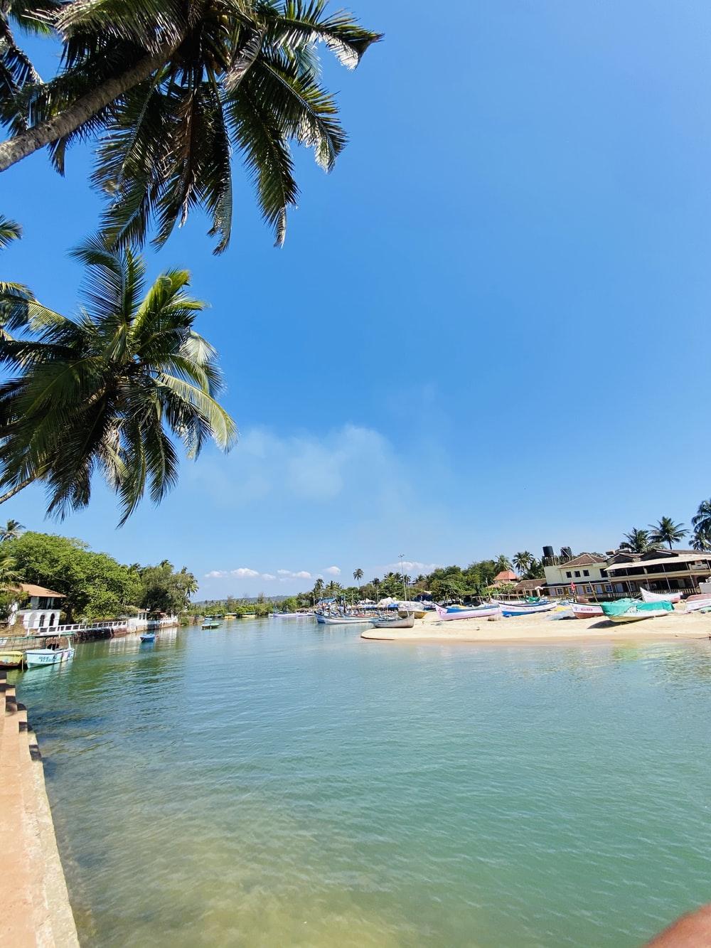1000x1333 Baga Beach Picture. Download Free Image