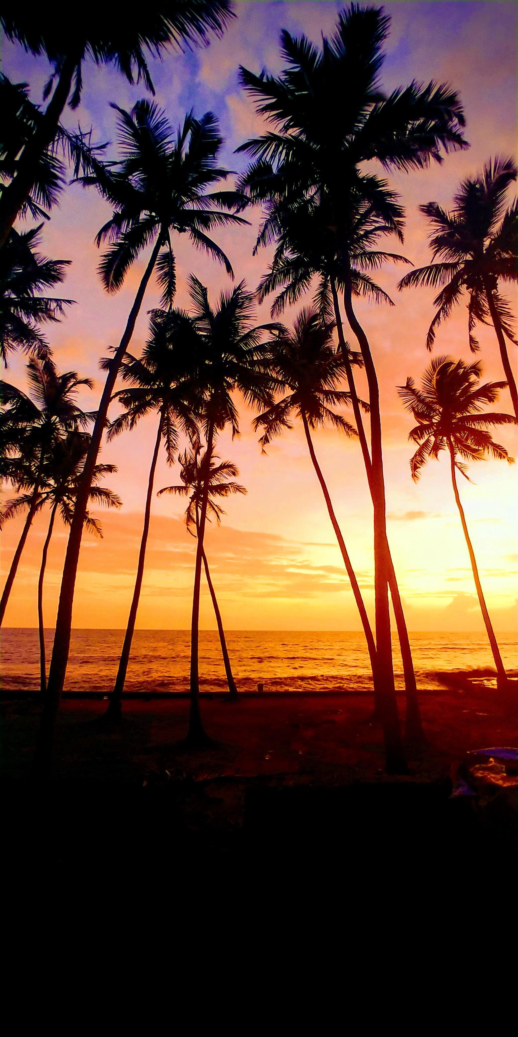 2080x4160 Goa Beach Phone Wallpaper