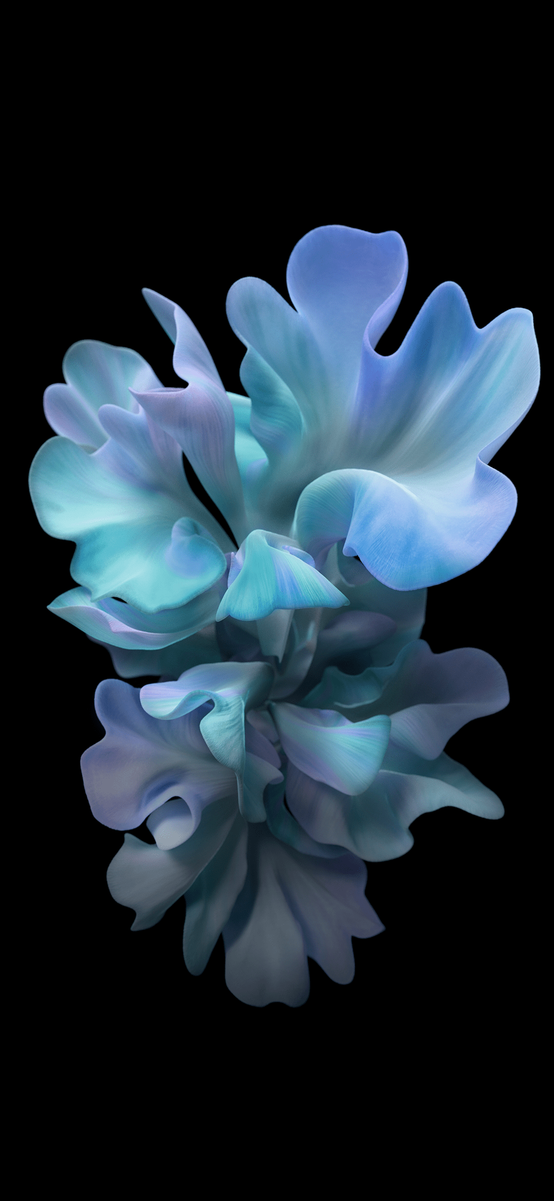 1080x2340 Samsung Galaxy Z Flip Wallpaper. iPhone wallpaper, iPhone homescreen wallpaper, Flower phone wallpaper