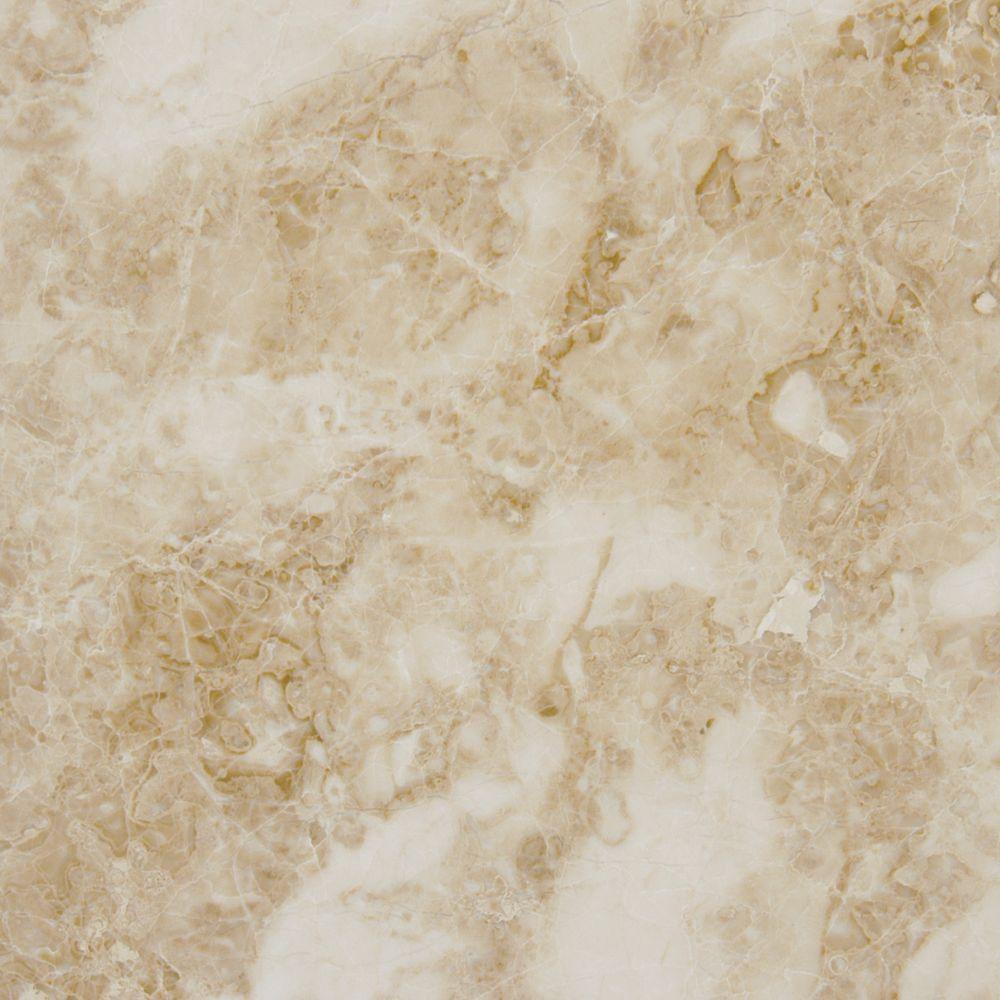 1000x1000 MSI Cappuccino 12 in. x 12 in. Polished Marble Floor and Wall Tile