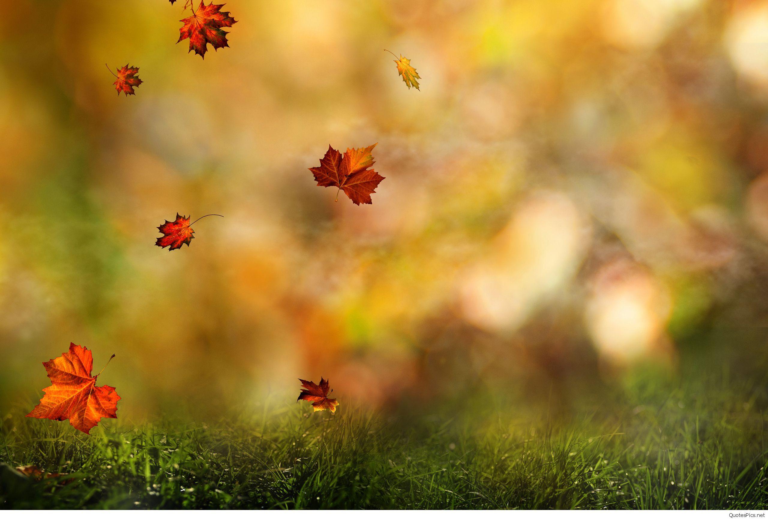 September Wallpapers - Top Free September Backgrounds - WallpaperAccess