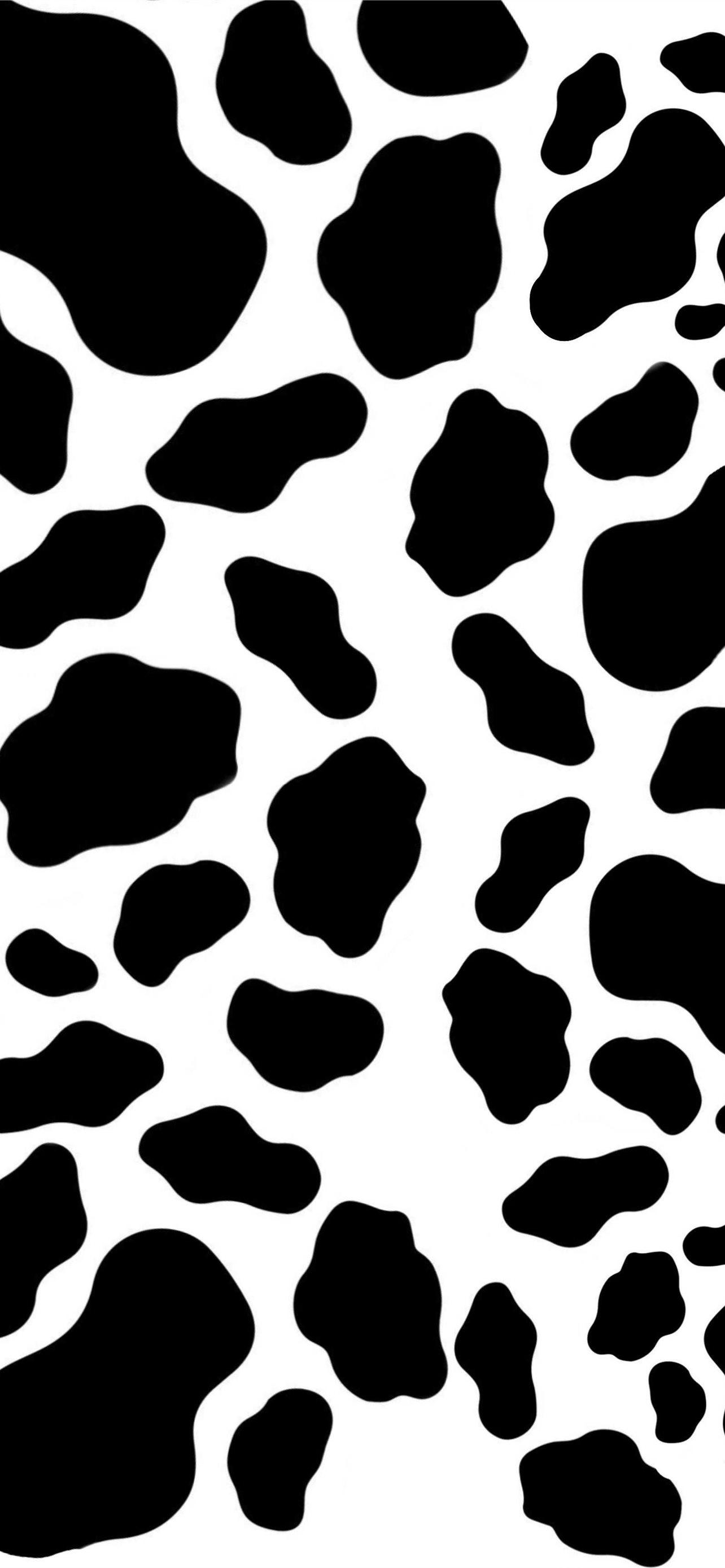 1284x2778 cow iPhone Wallpaper Free Download