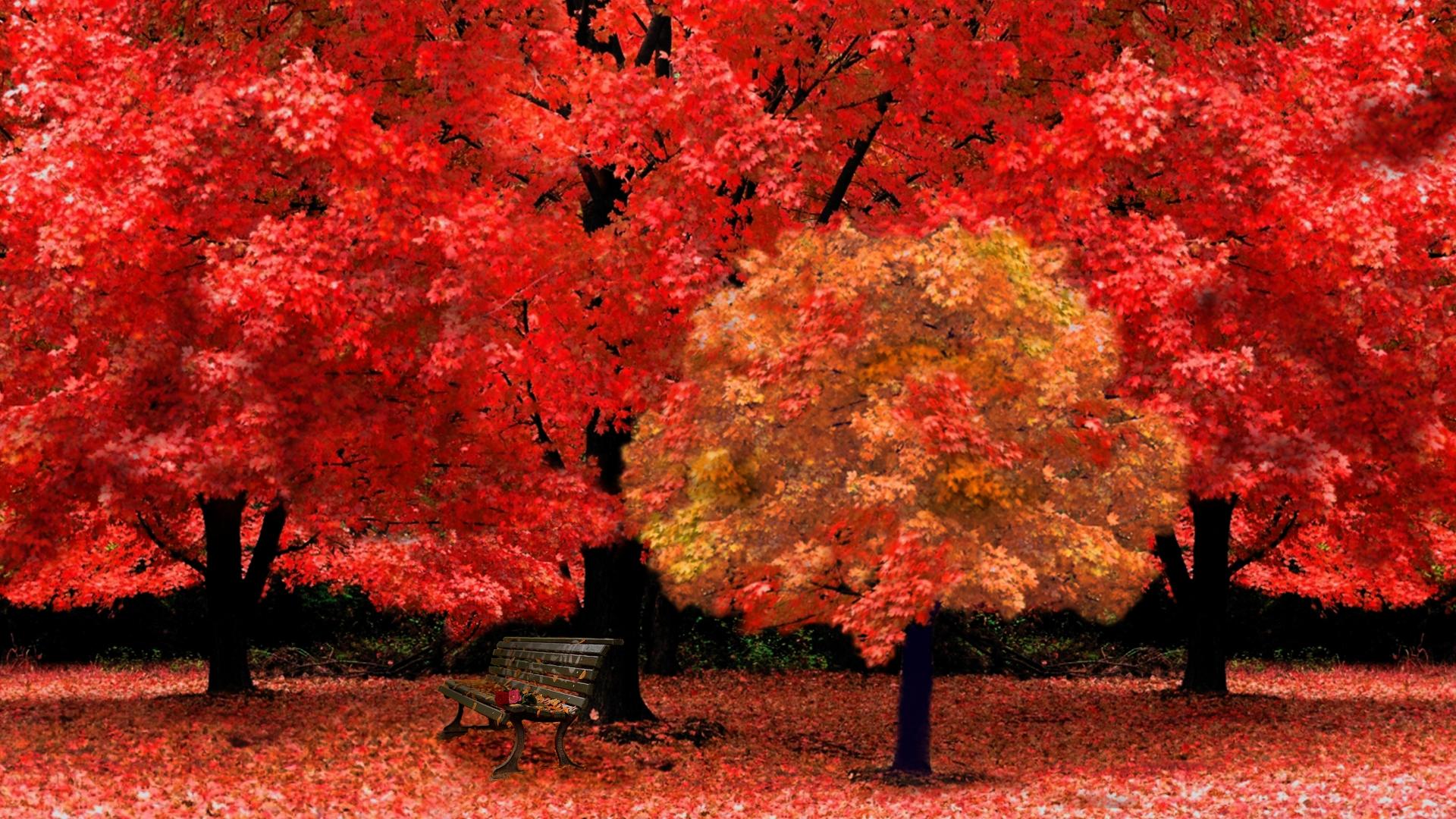 1920x1080 Red Leaves Quotes. QuotesGram