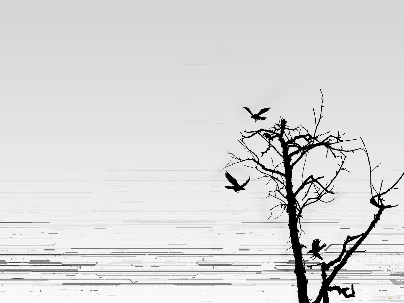 1600x1200 Free download Download Birds On The Tree Wallpaper [1600x1200] for your Desktop, Mobile & Tablet. Explore White Tree Silhouette Wallpaper. Silhouette Wallpaper for Walls, Birch Tree Silhouette Wallpaper