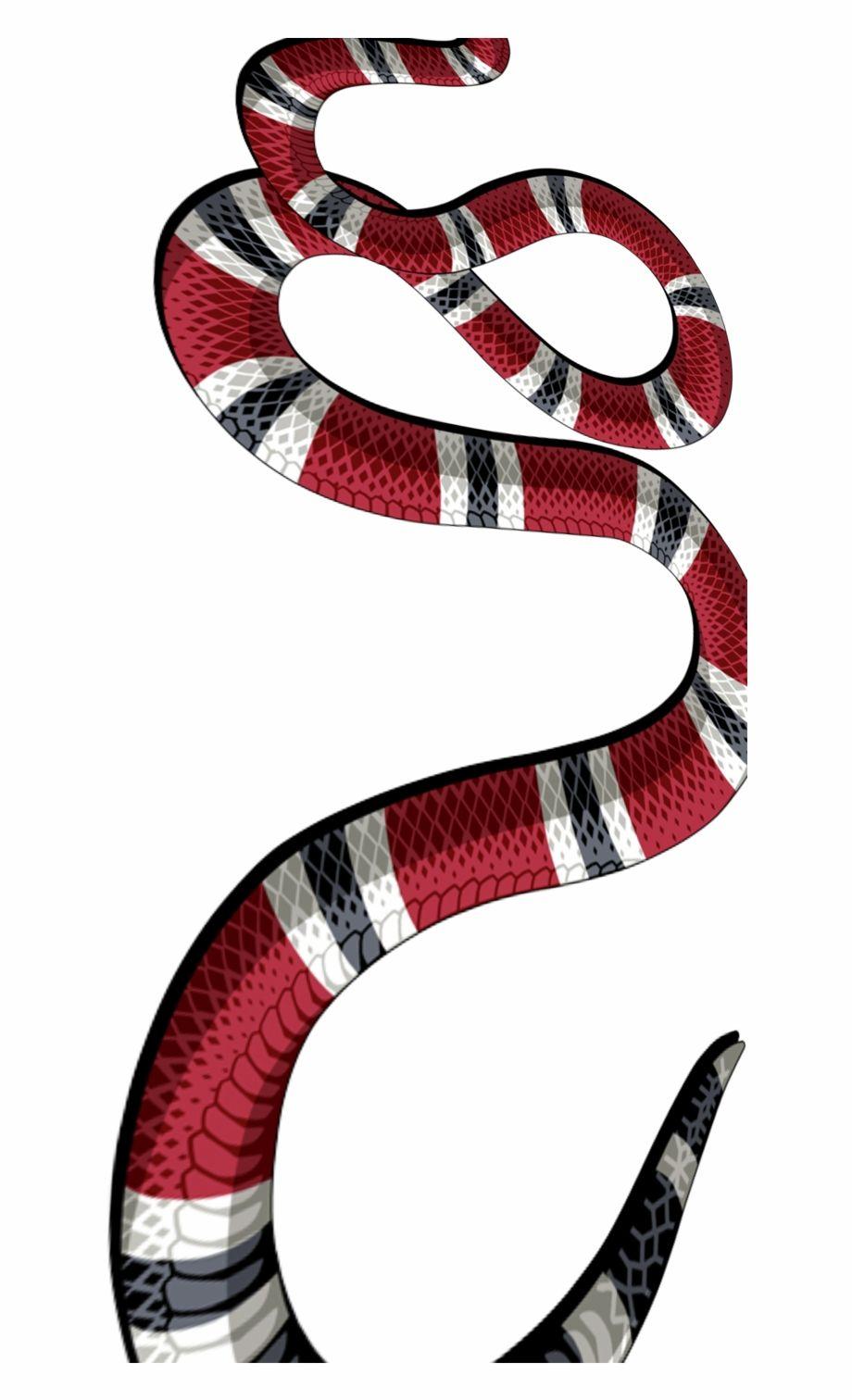 Gucci Snake Logo Wallpapers Top Free Gucci Snake Logo Backgrounds
