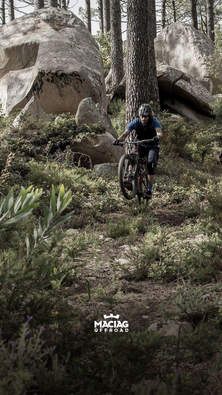 736x1308 Fondos de pantalla de MTB mejores fondos de MTB gratis - Downhill mountain biking, Mtb, Mountain biking