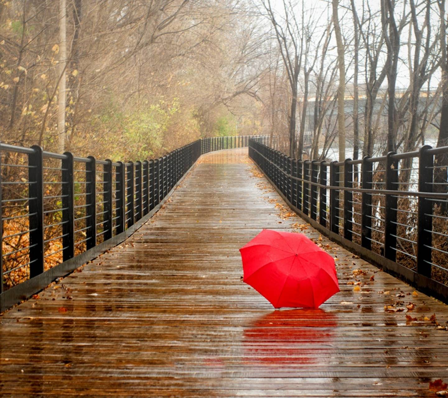 Rainy Day Wallpapers - Top Free Rainy Day Backgrounds ...