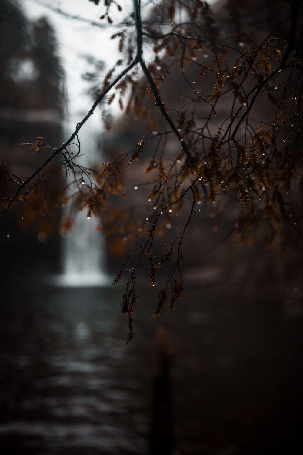 1000x1500 the rainy days best free day, rainy, rain, and wet photo