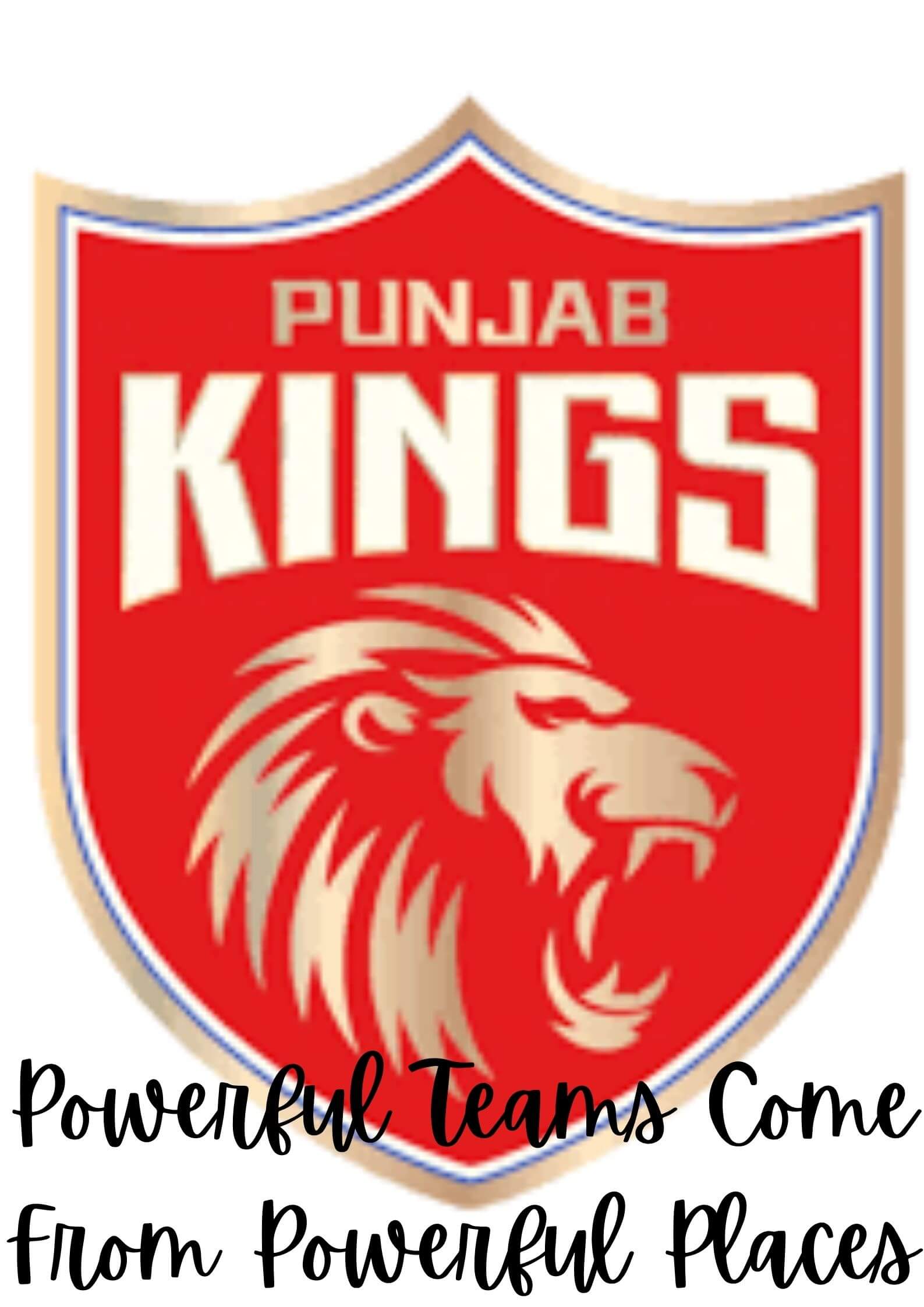 1587x2245 image of Punjab Kings team players and Punjab Kings IPL squad with owner