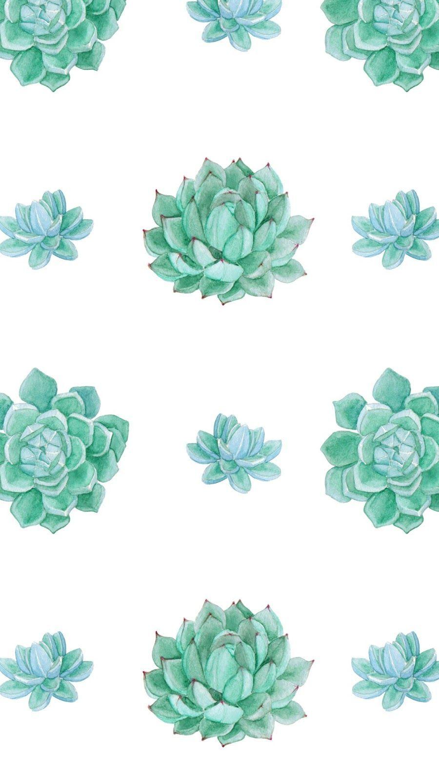 Featured image of post Succulent Plant Wallpaper Iphone Anything and everything about succulents a k a