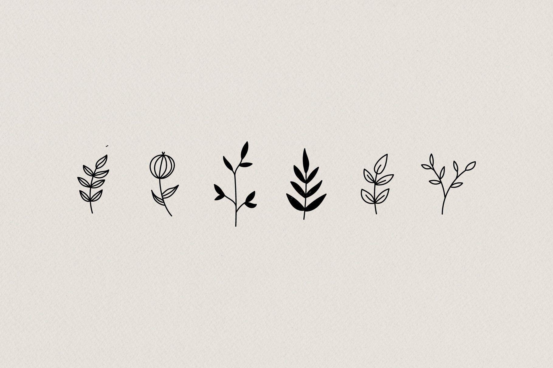 1820x1214 Botanical Hand Drawn Illustrations. Cute desktop wallpaper, Macbook wallpaper, Desktop wallpaper art
