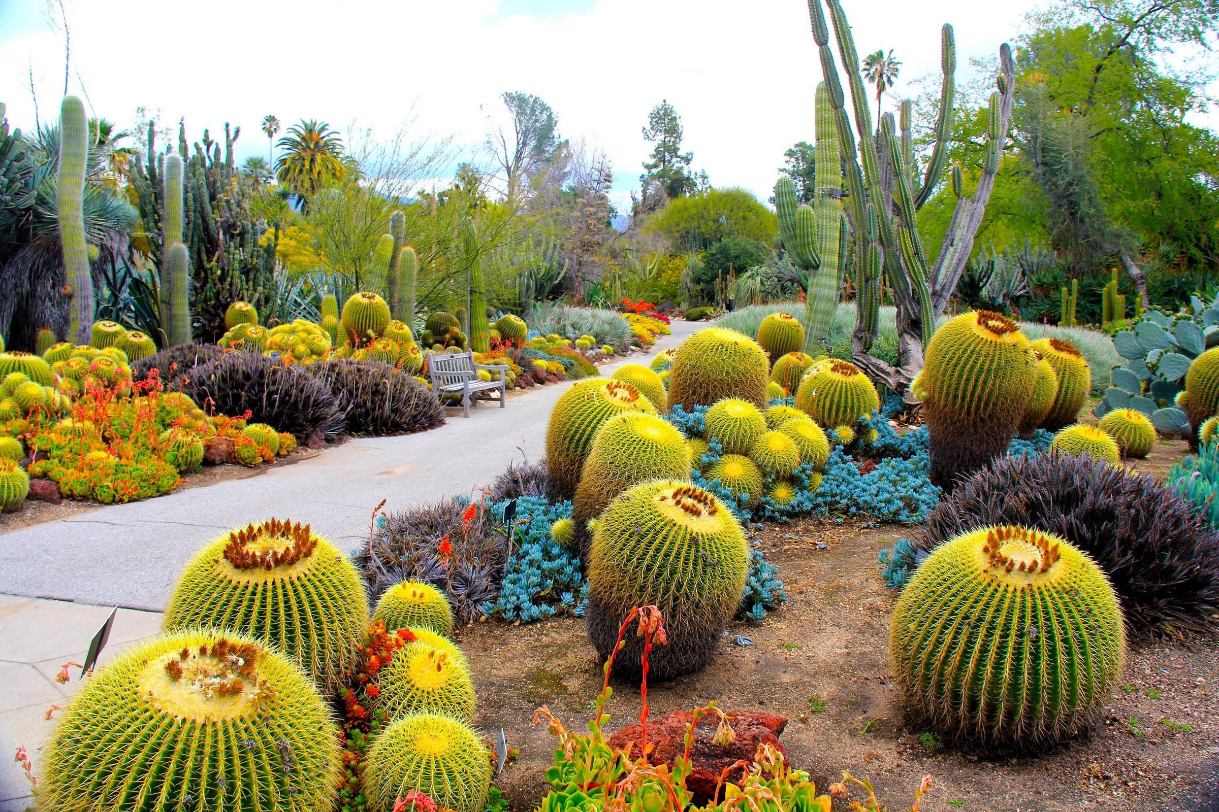 2400x1600 botanical garden, san marino, california Wallpaper, HD Nature 4K Wallpaper, Image, Photo and Background