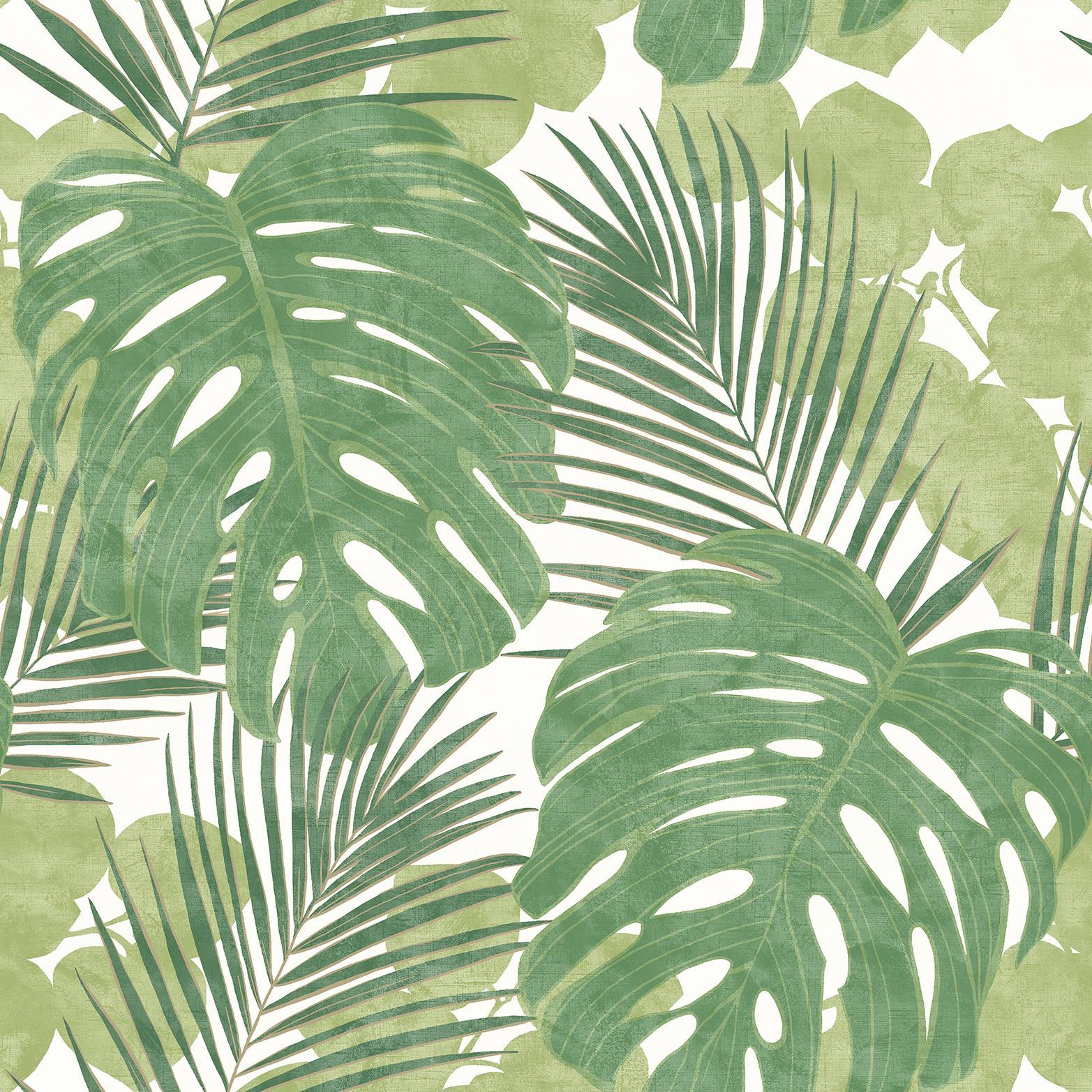 1565x1565 Green Leaf Birds Tropical Wallpaper Jungle Animal Print Floral Botanical Tree