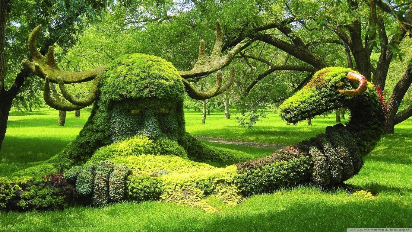 1366x768 Botanical Wallpaper