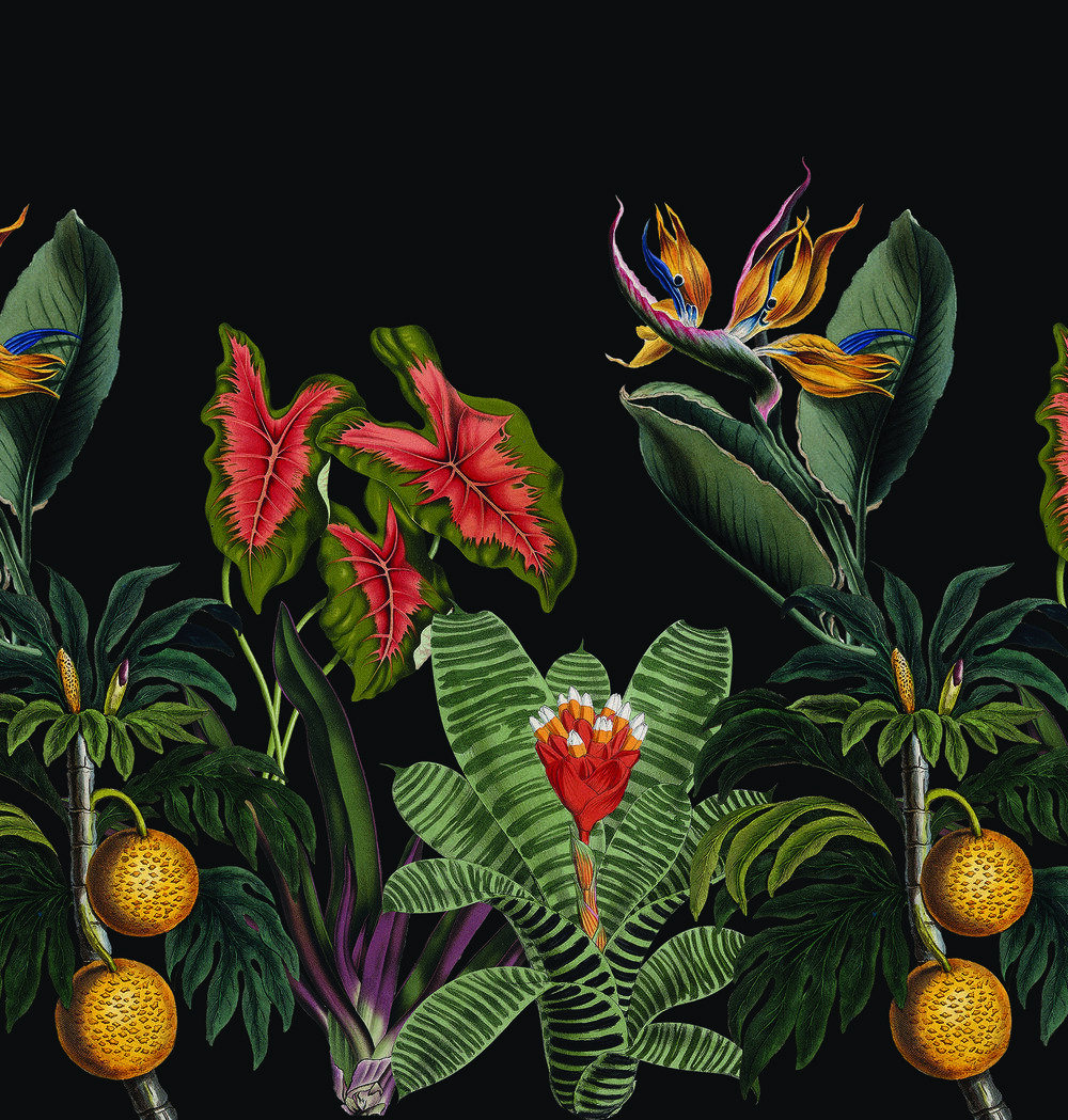 1000x1049 Botanical Wallpaper