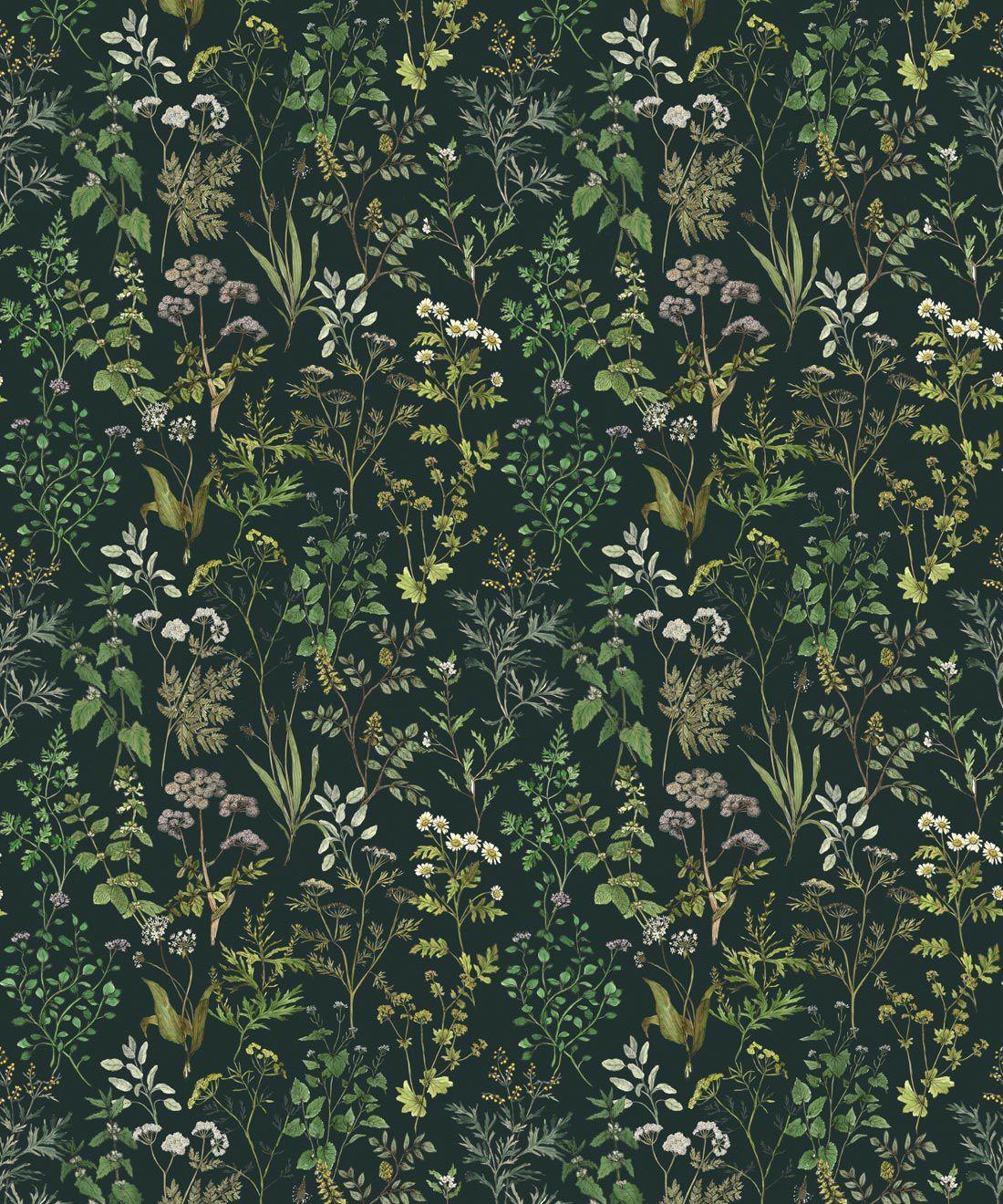 1100x1320 Herbarium Herbs Wallpaper • Botanical Wallpaper EU