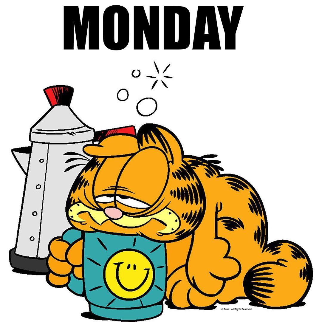 1080x1080 I Hate Mondays Garfield Wallpaper