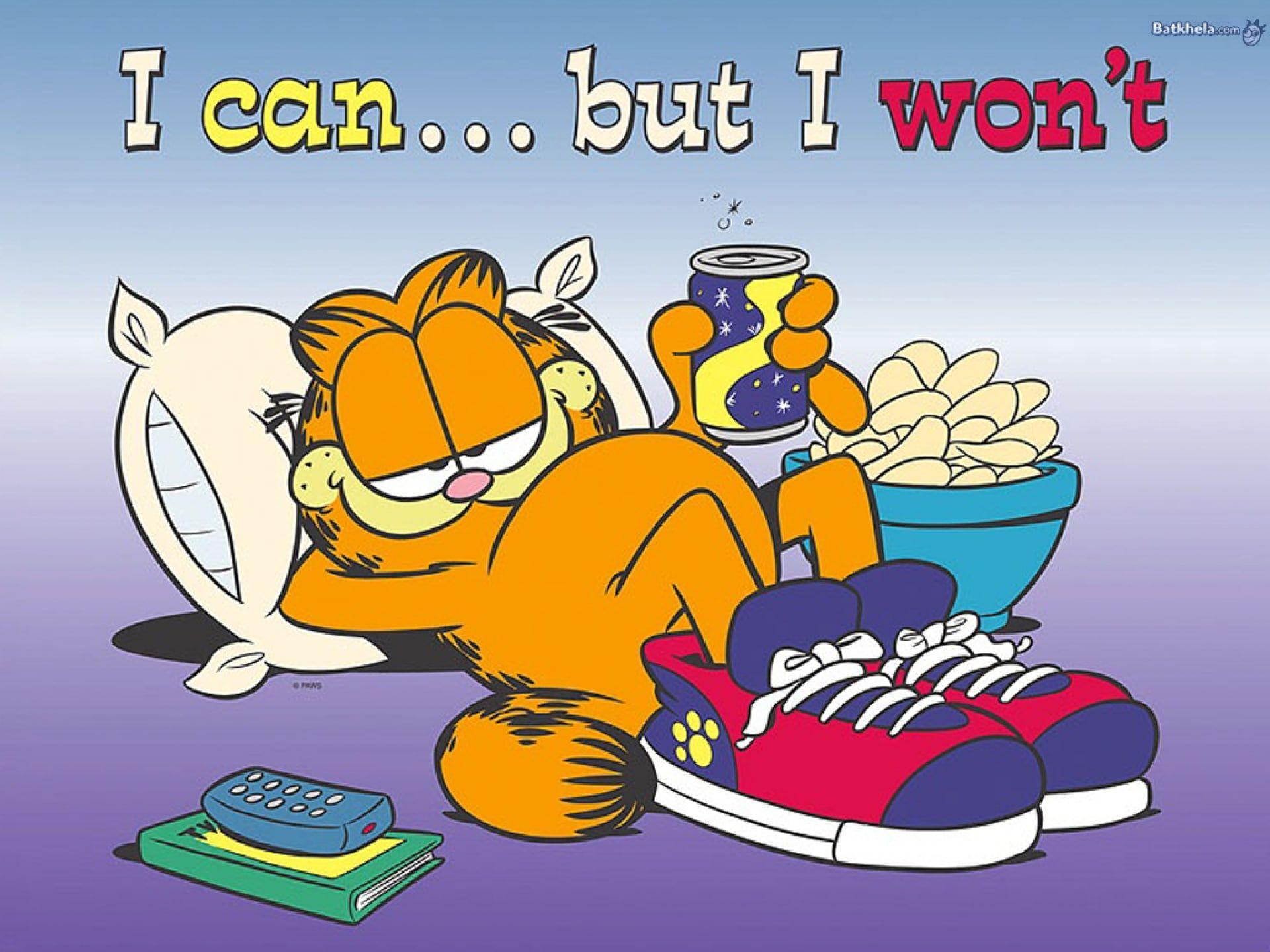 1920x1440 garfield P #wallpaper #hdwallpaper #desktop. Garfield wallpaper, Garfield, Garfield and odie