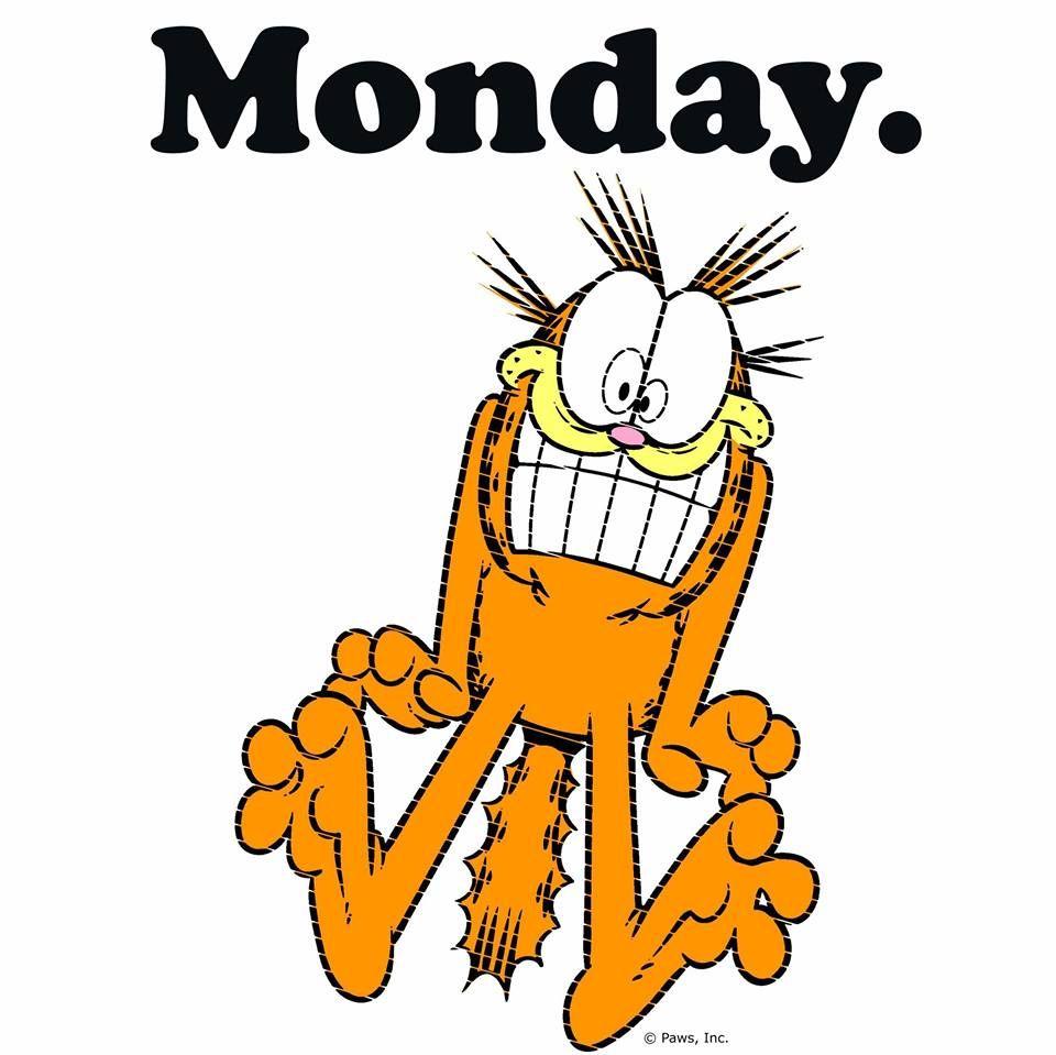 960x959 Mondays fry my brain. Monday humor, Garfield, Monday picture