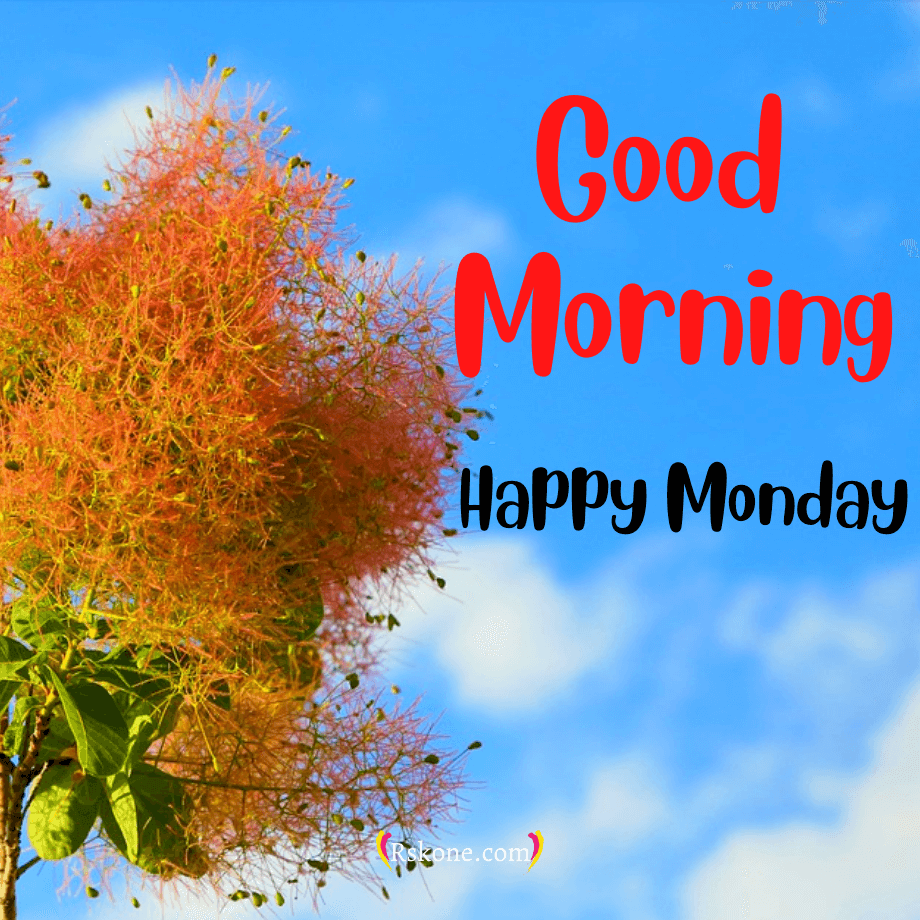 920x920 Top New Good Morning Happy Monday Image, Wishes