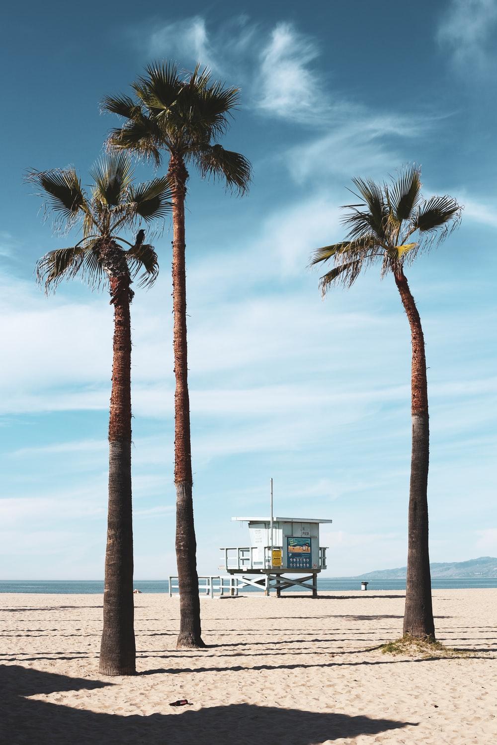 1000x1500 Summer. best free summer, beach, outdoor and wallpaper photo
