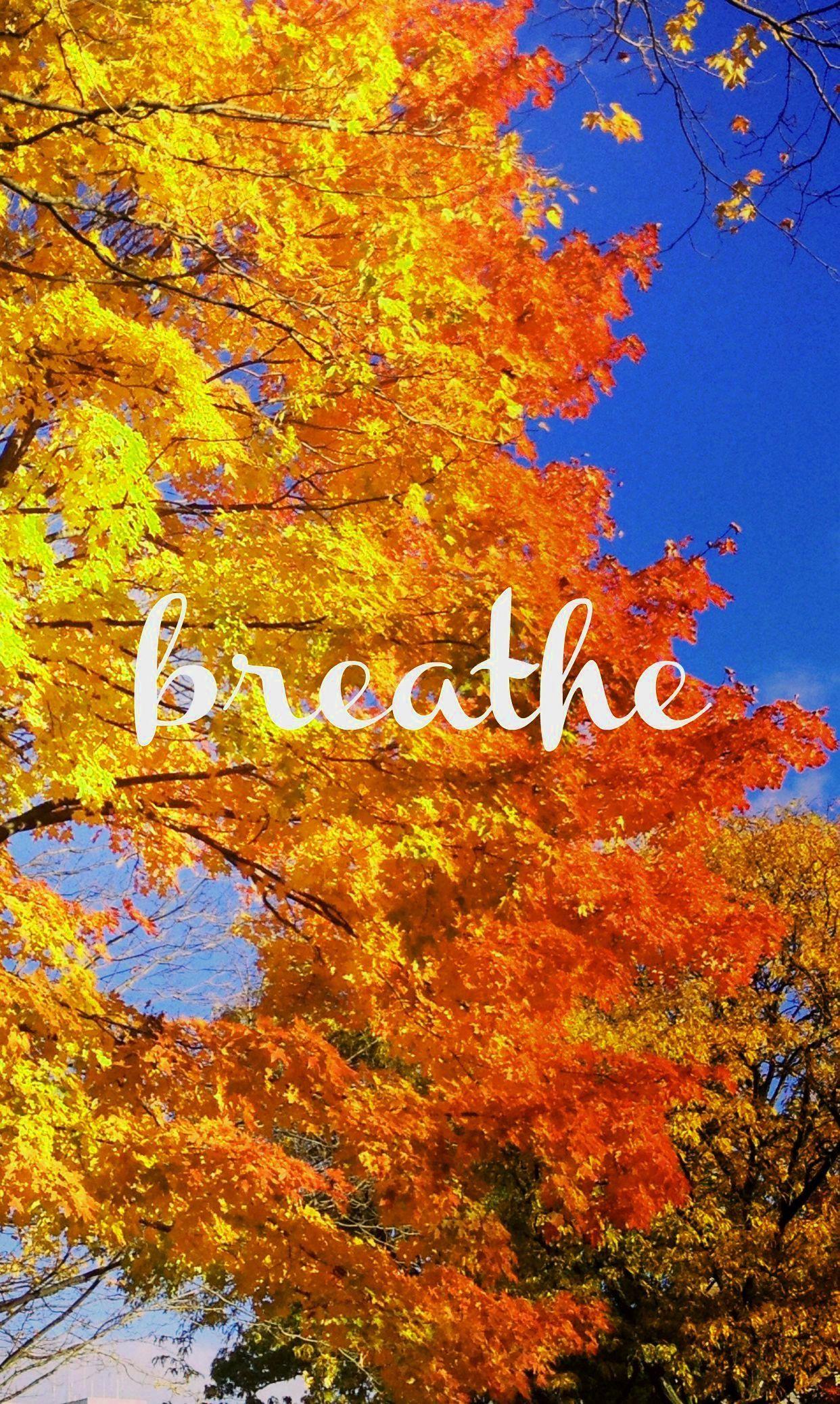 1242x2076 Fall Phone Wallpaper