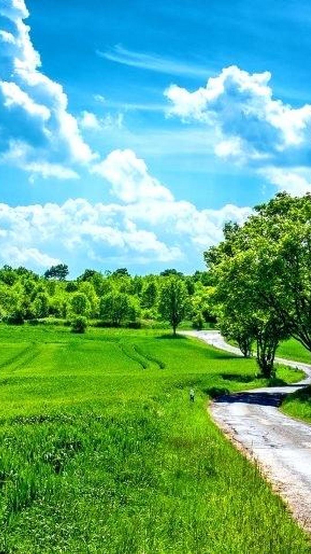 1080x1920 Blue and Green Wallpaper For Android Android Wallpaper