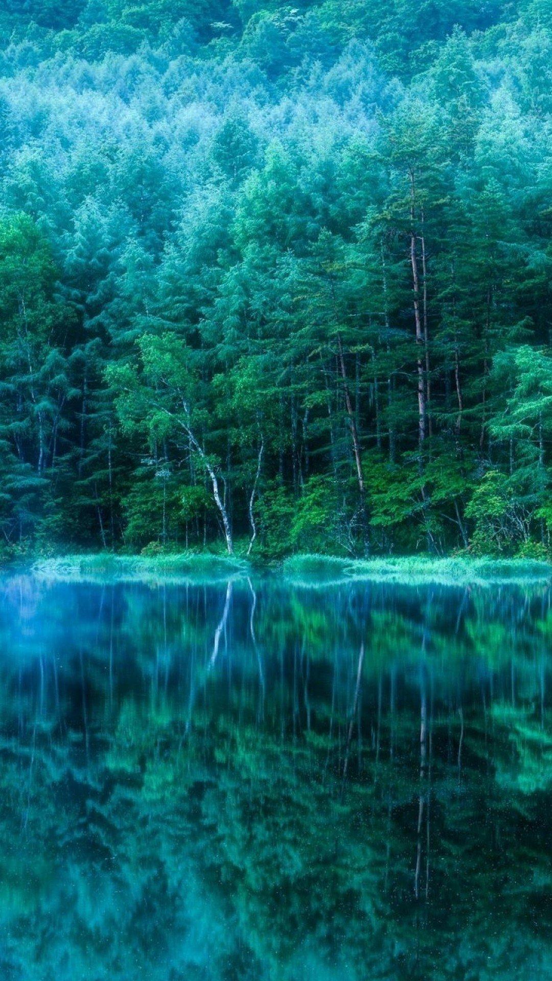 1080x1920 green nature wallpaper, water, blue, green, aqua, natural landscape, turquoise, water resources, organism, reflection, tree