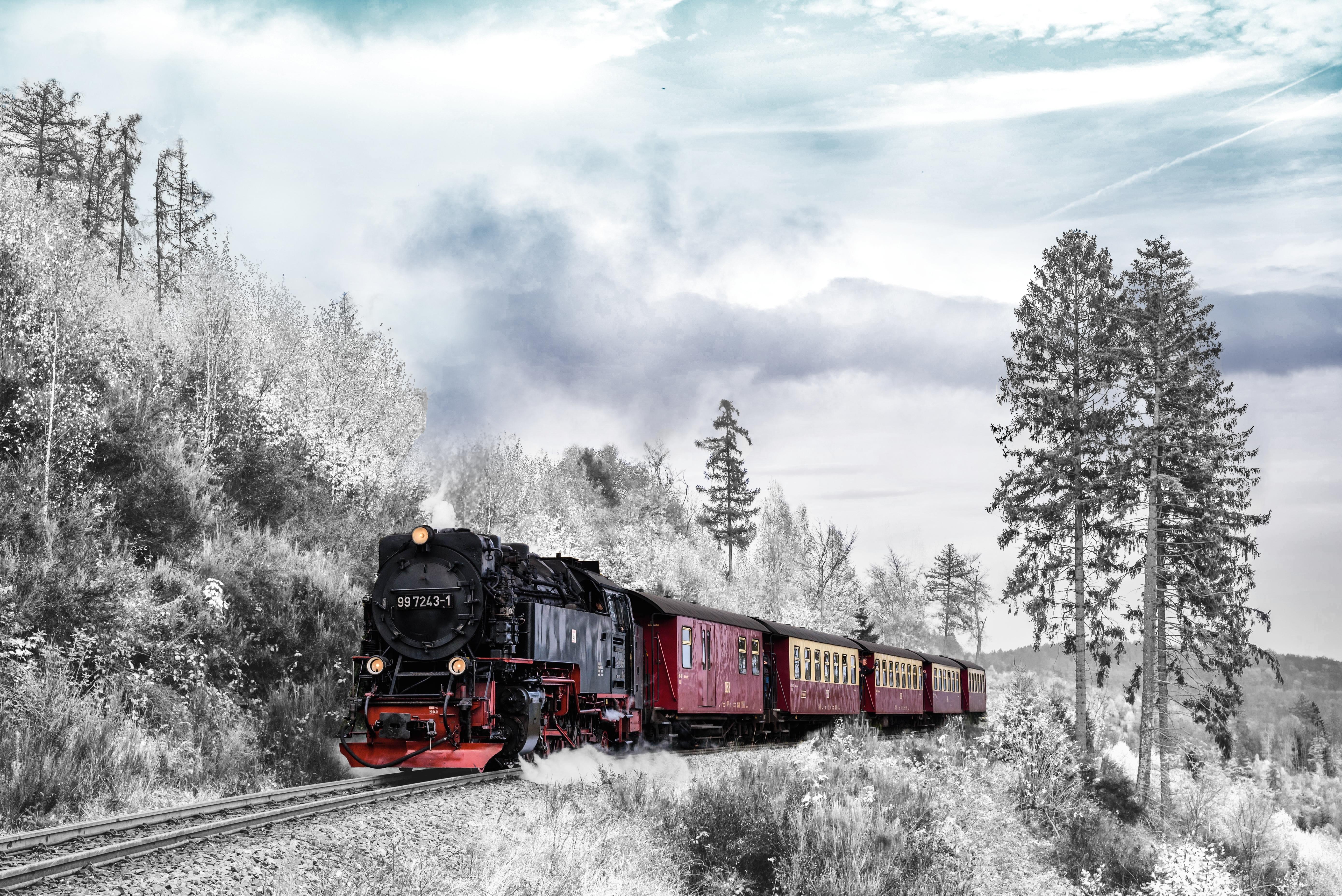 5556x3709 Download wallpaper 5556x3709 train, forest, winter, railway, snow HD background