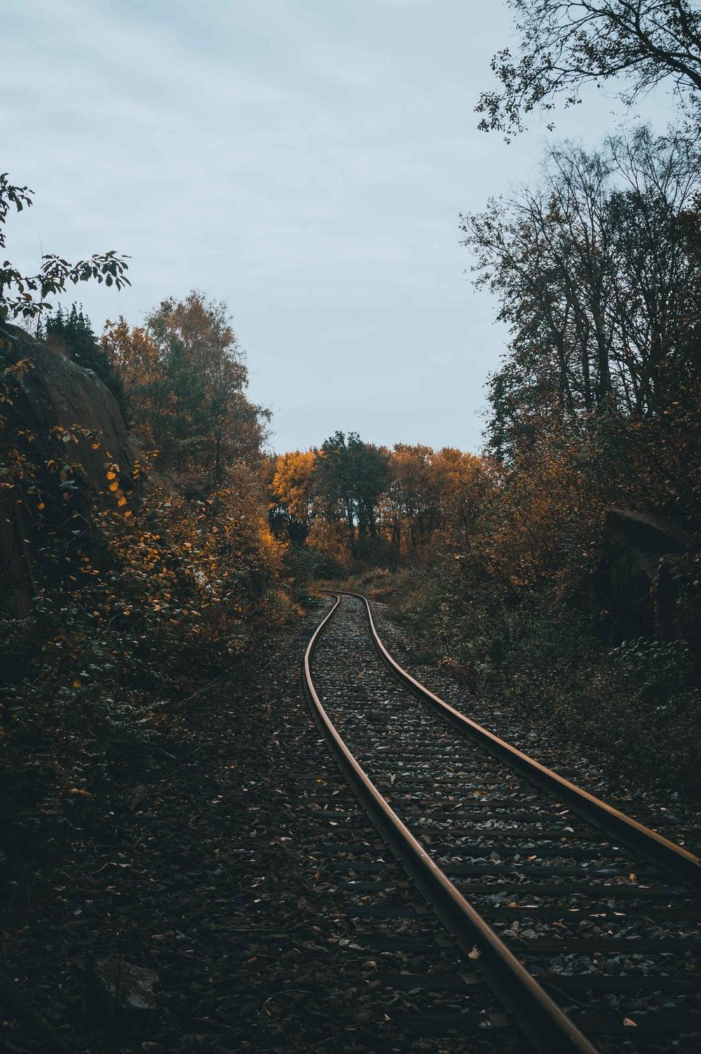 1000x1503 empty railroad between of forest trees photo