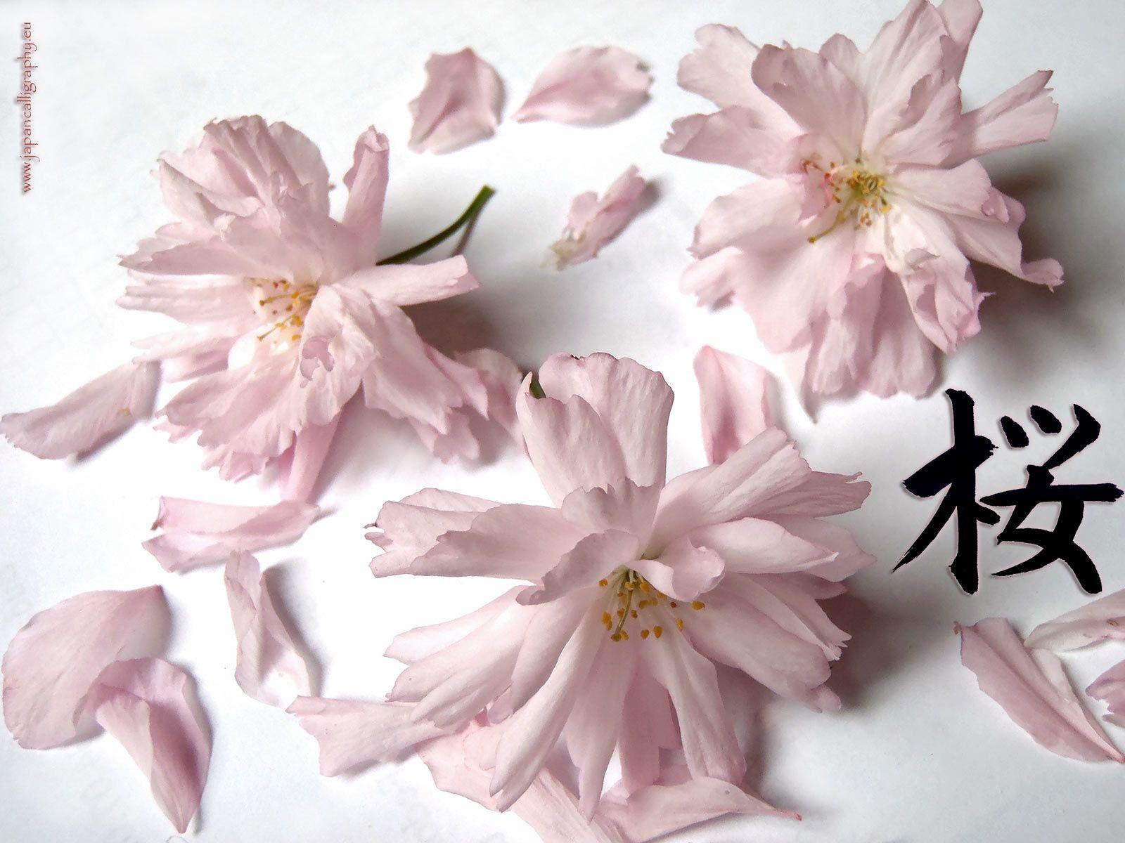 1600x1200 Japanese calligraphy desktop wallpaper Seasons